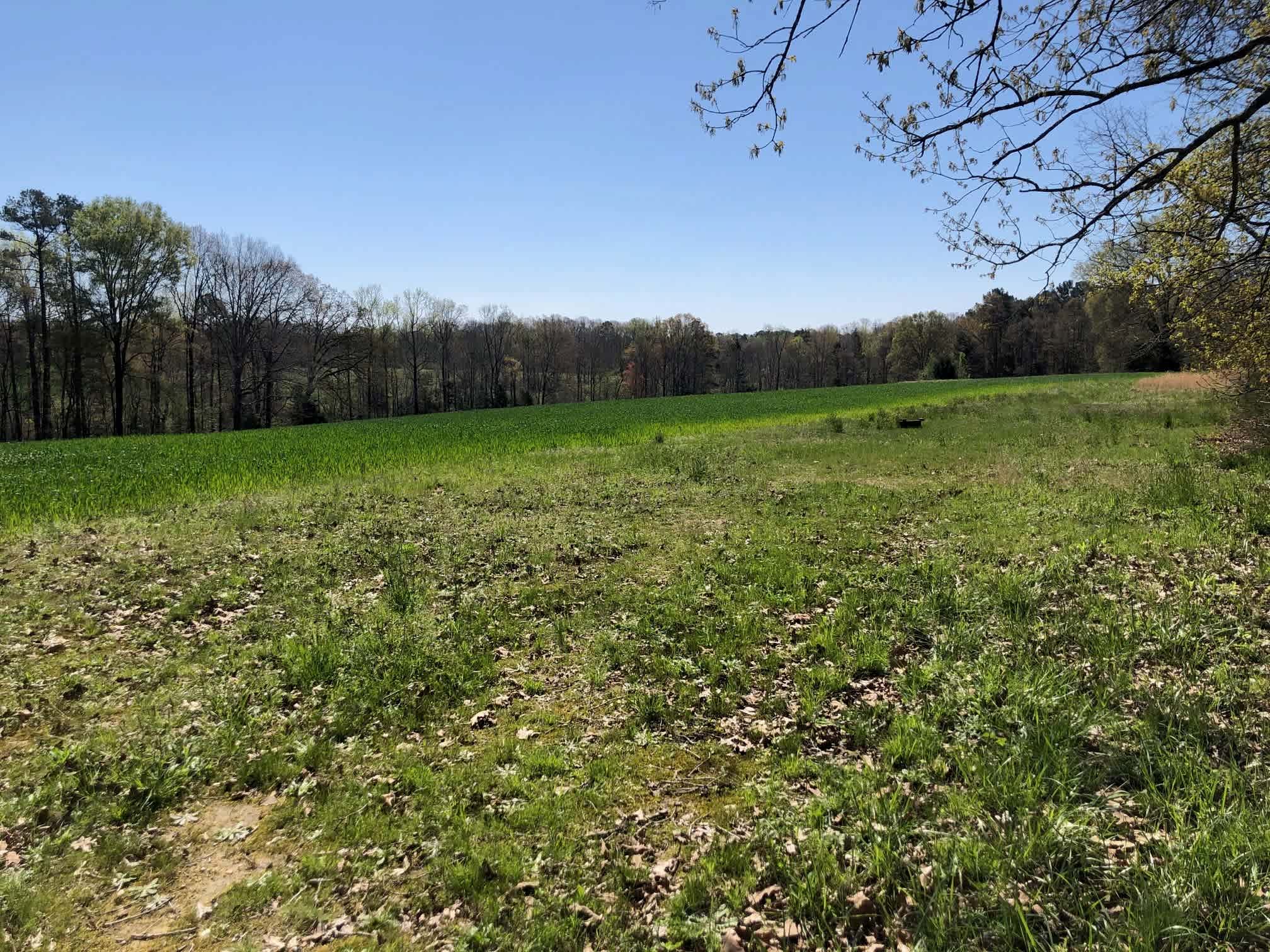 Total Isolation - South 40 Acre Lot