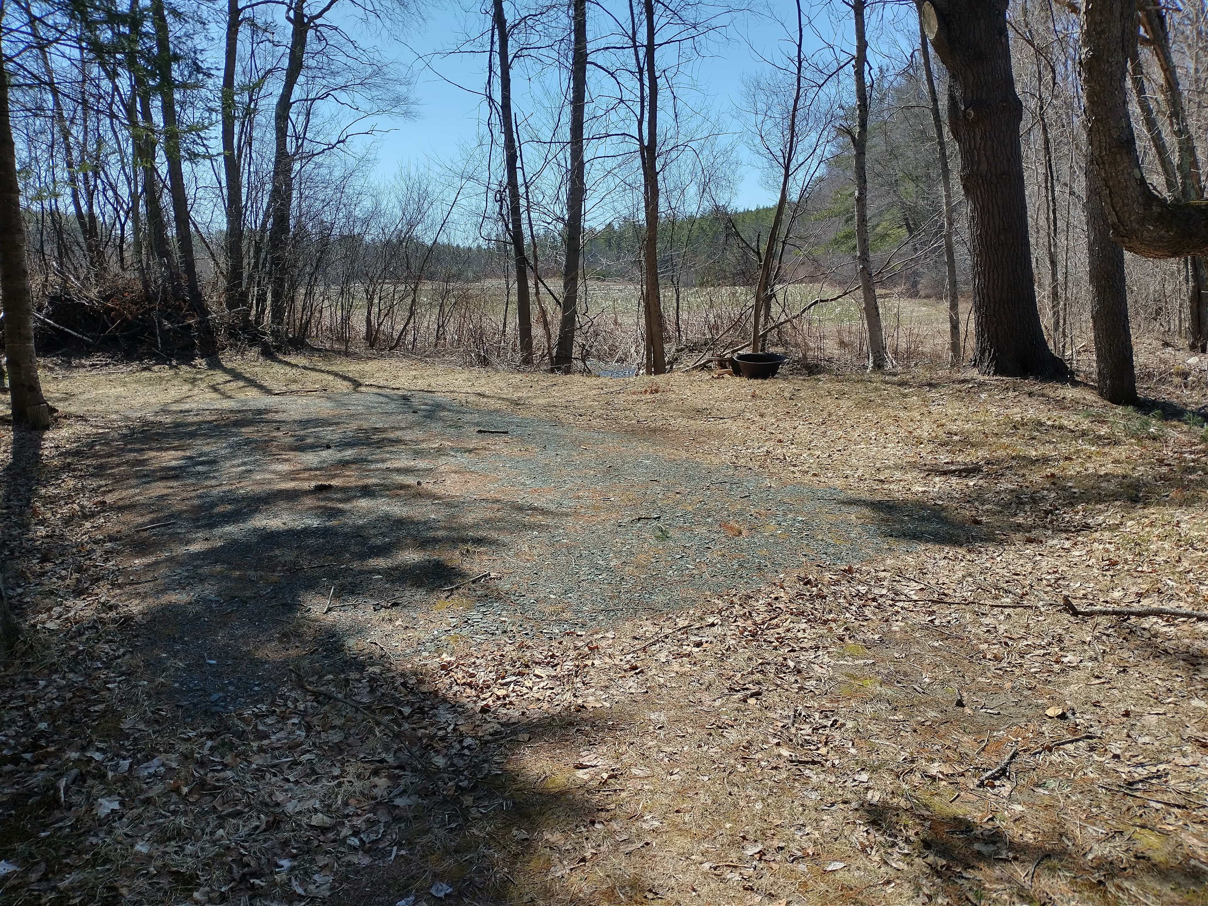 ELM TREE FARM