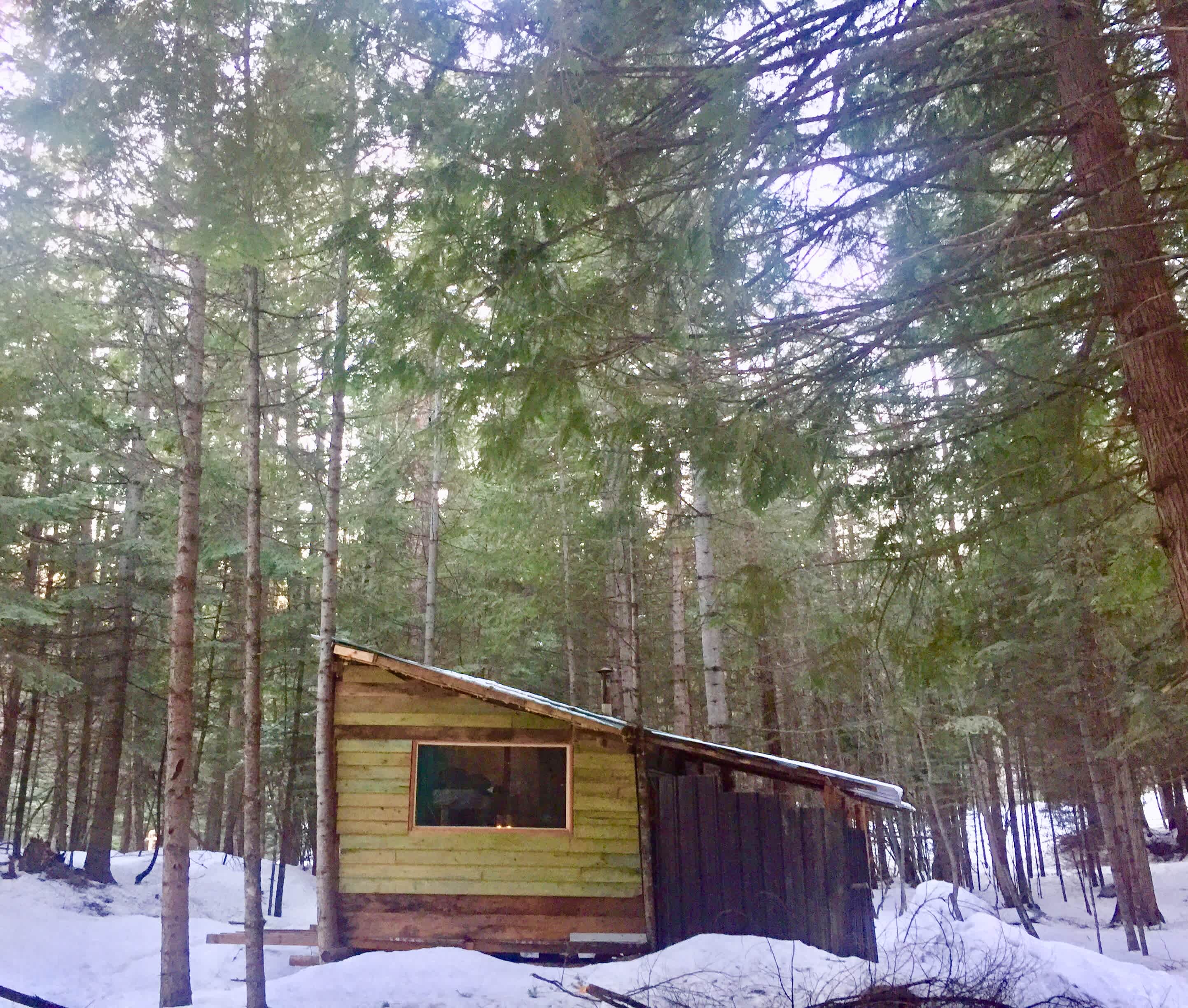 Sandpoint Mountain Tiny House