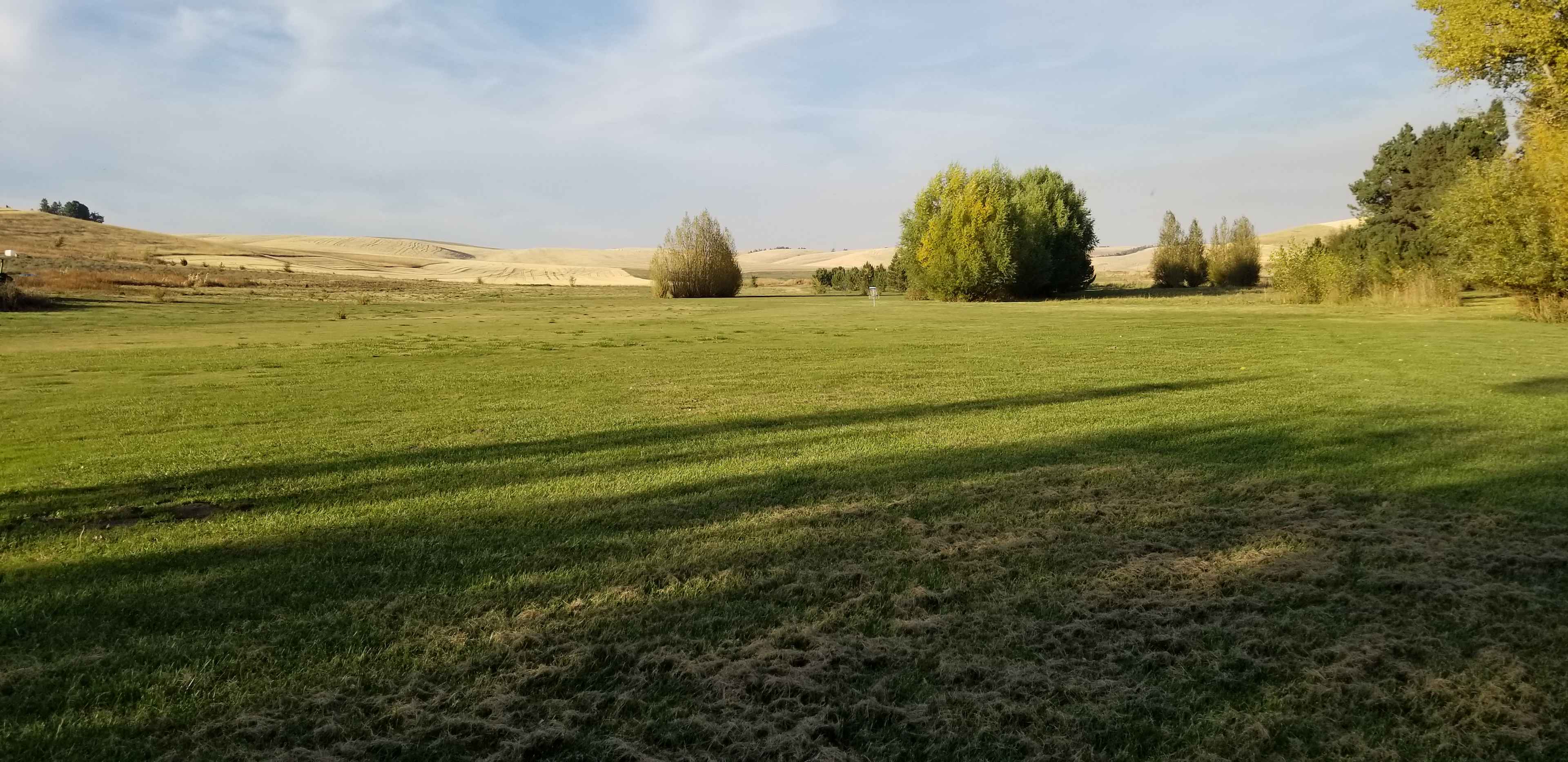 View from Site 2 in the willow woods.