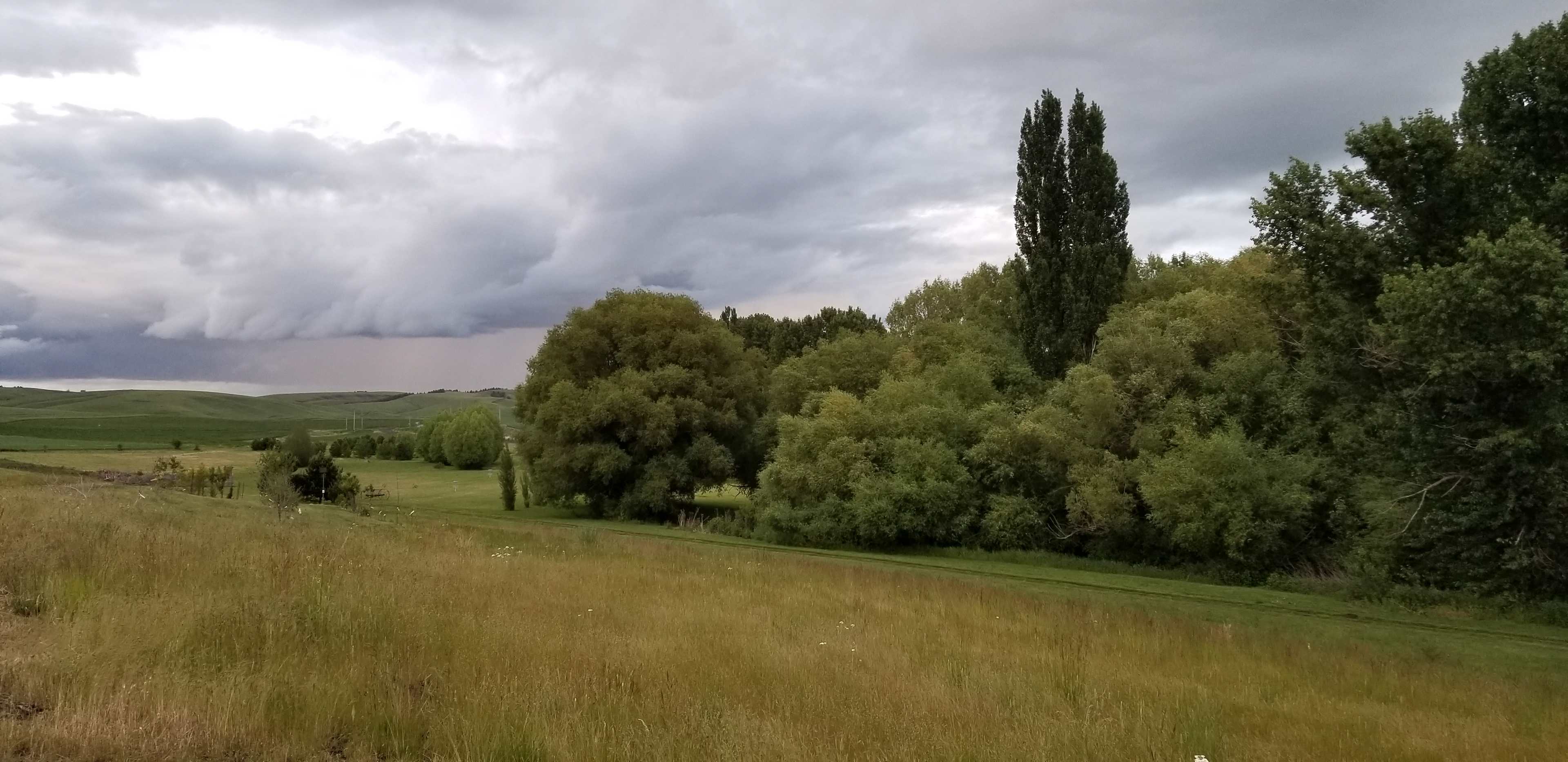 Looking down into the willow woods and the gathering lawn from the windmill. RV Camping is in the background.