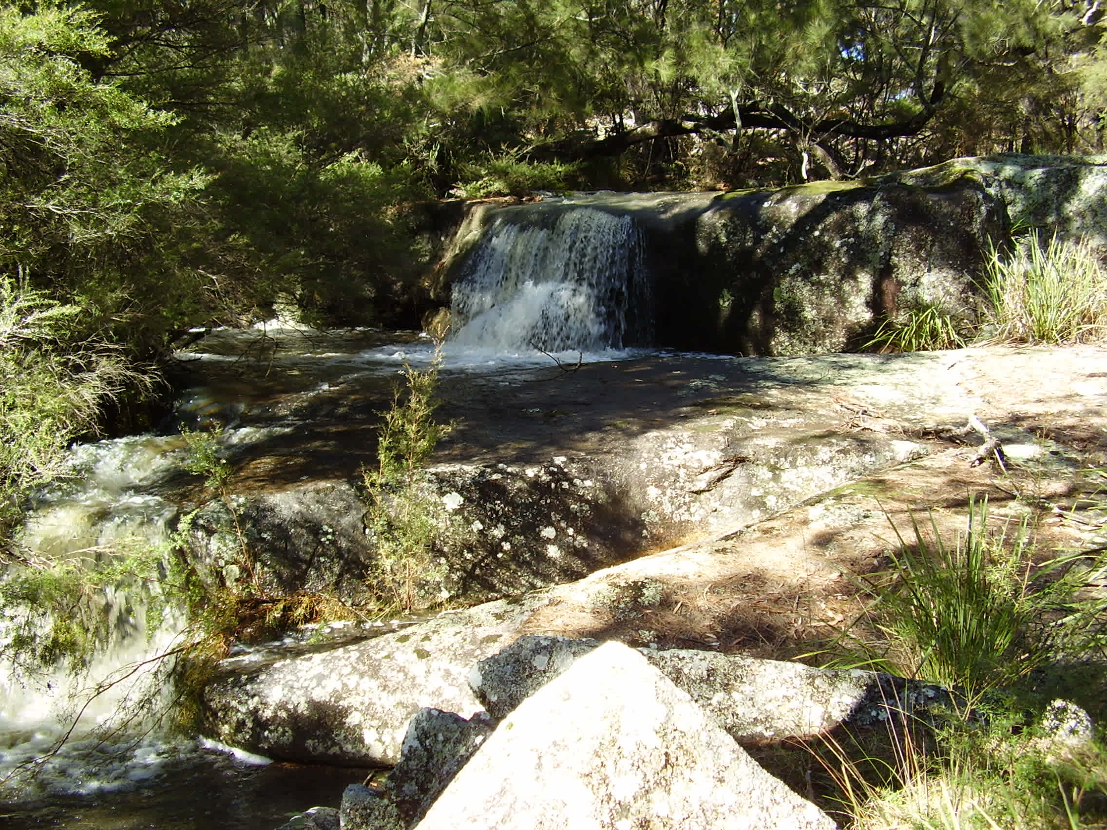Splitters Swamp Creek Waterfall