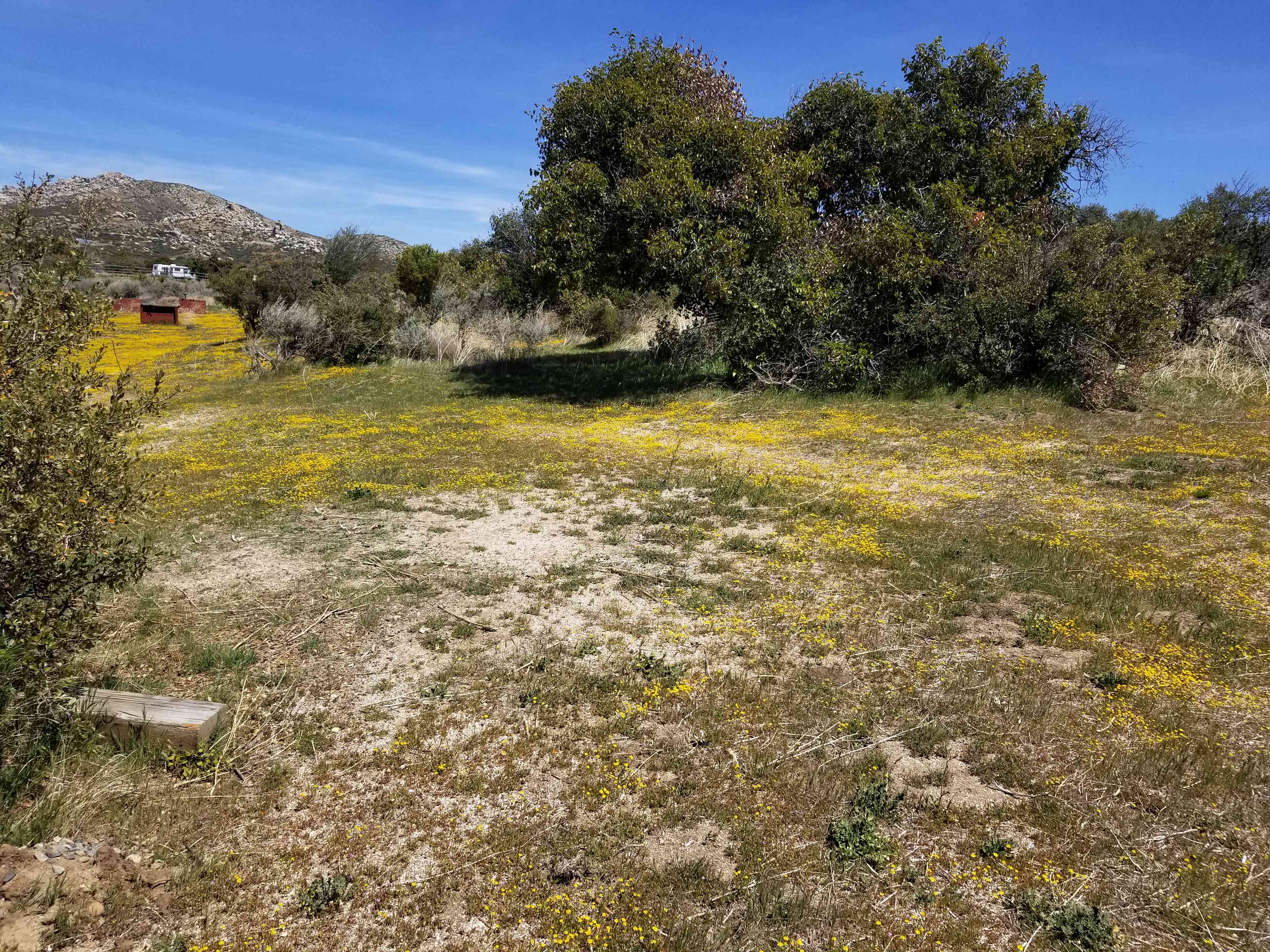 Montezuma Valley Campground