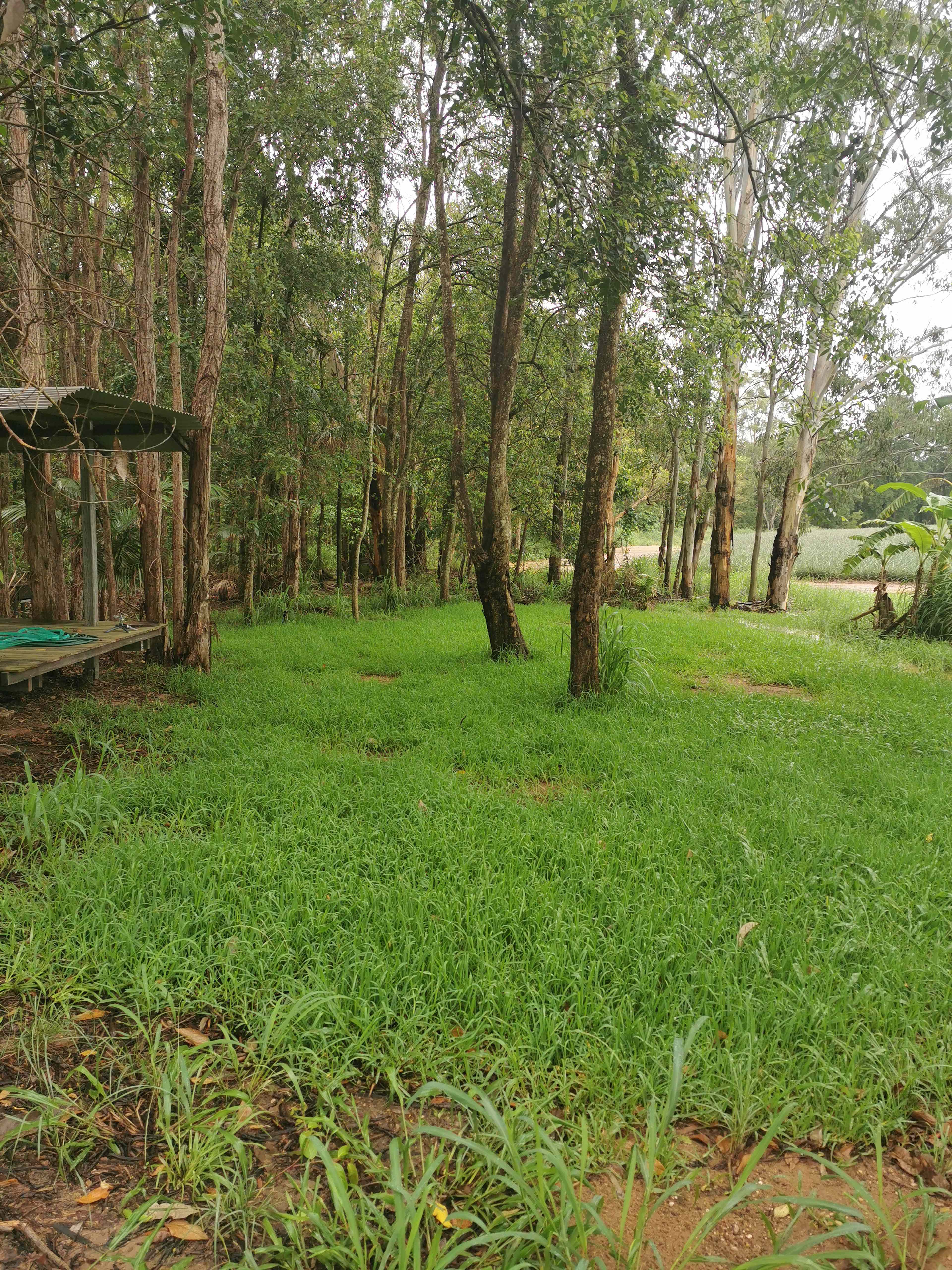 Quails Ridge Farm Stay