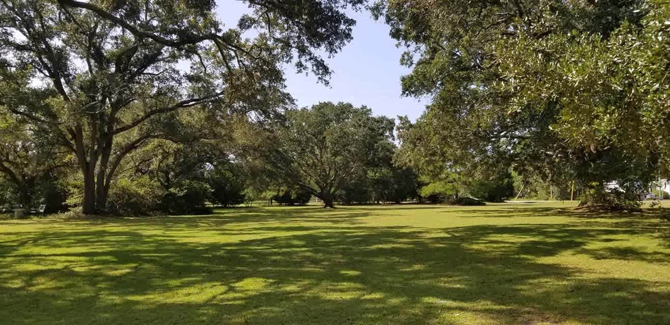 Live Oaks Farm