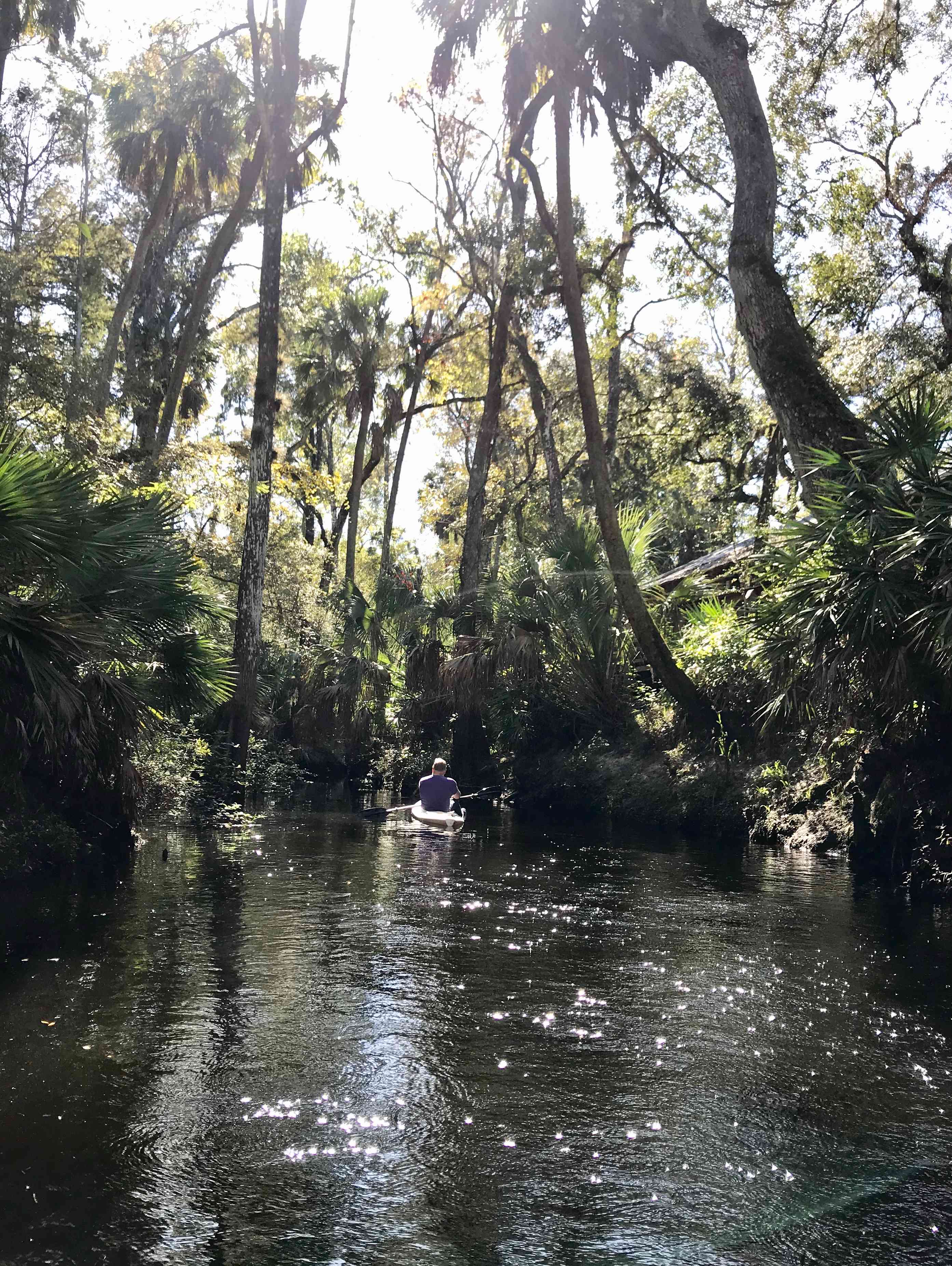 During rainy summer months, the river flows higher and more swiftly.