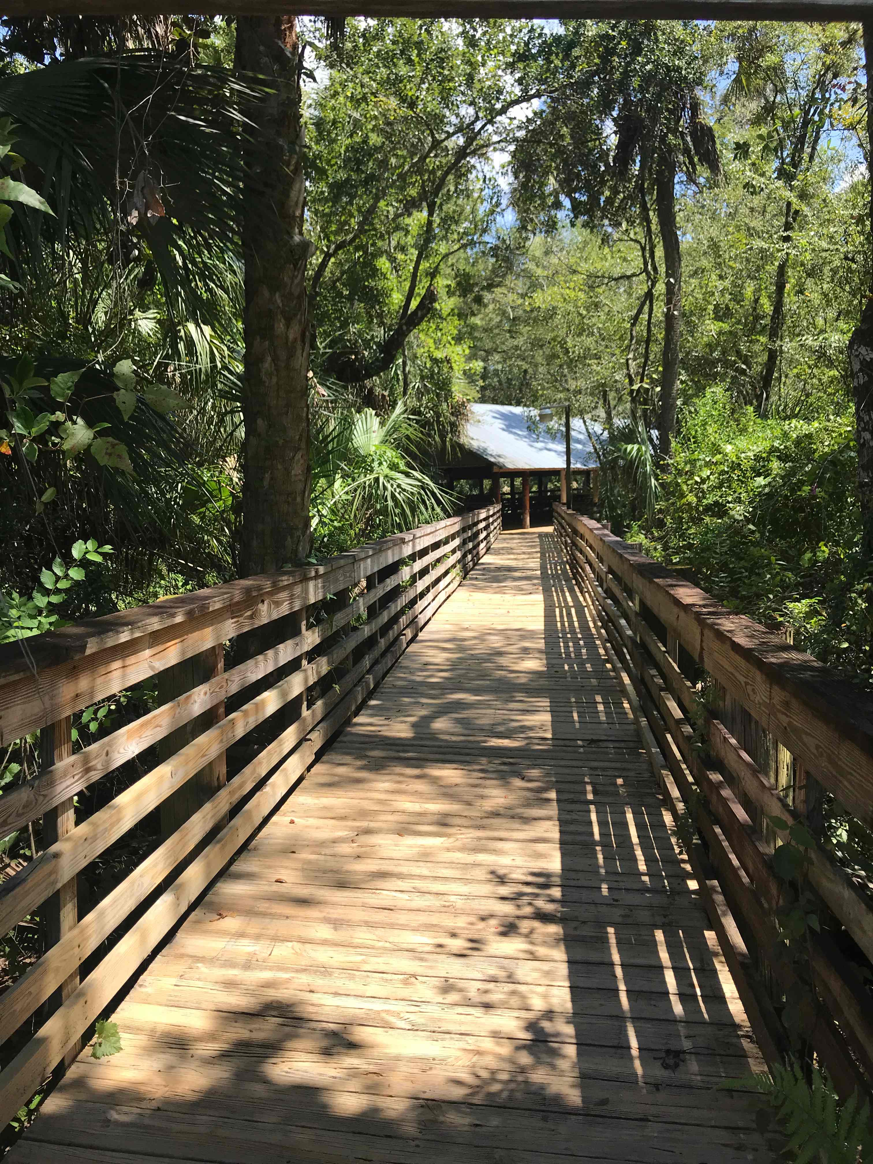 A boardwalk leads you to the pavilions along the Cotee River.