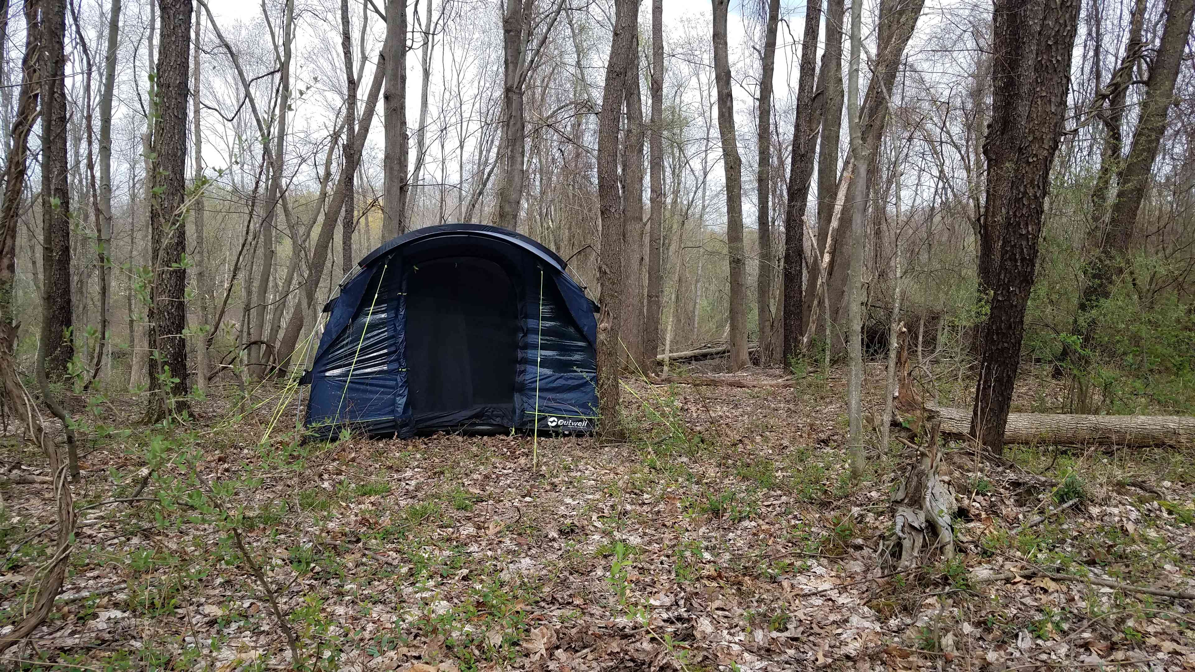 Very nice, wooded camping area
