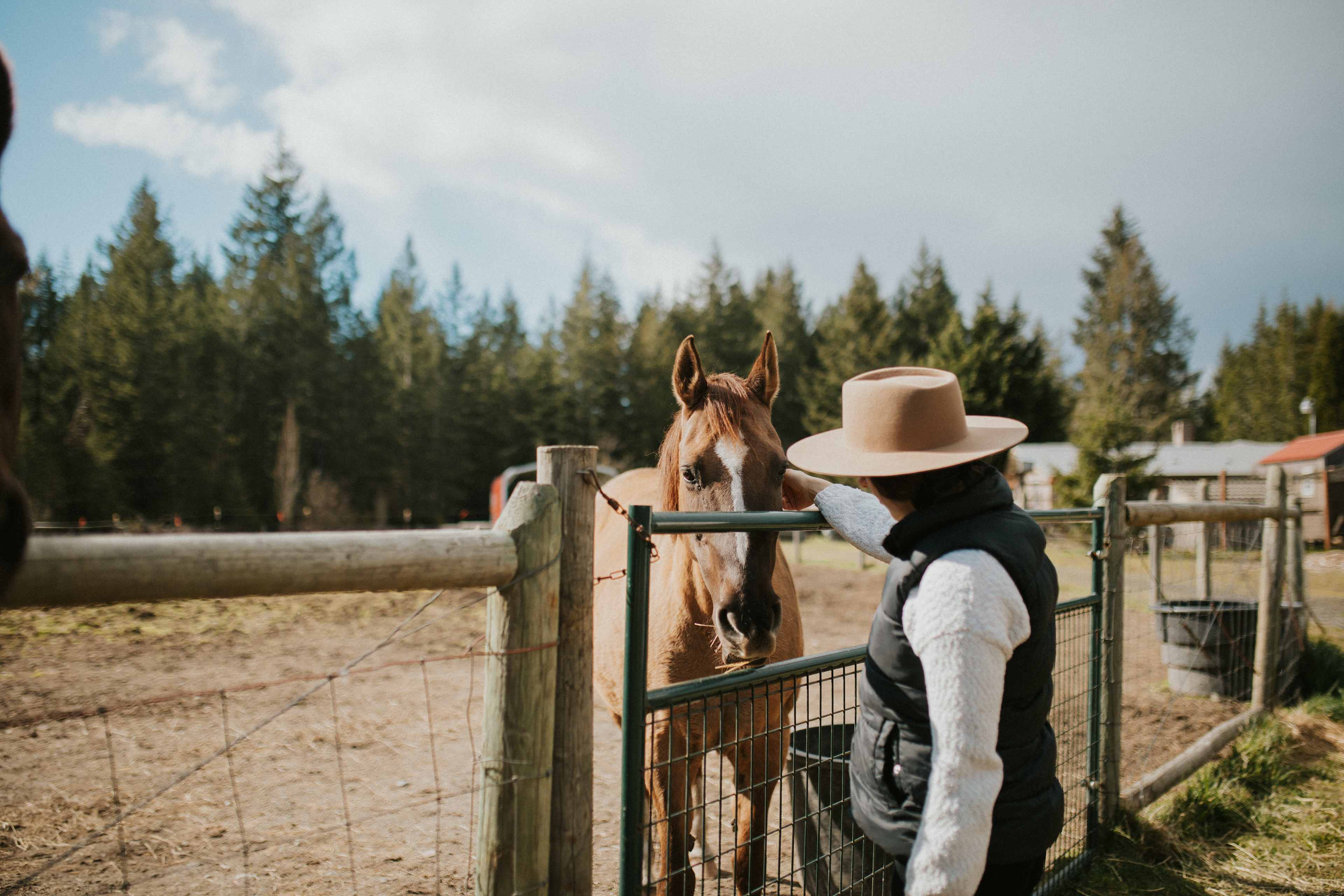 Malaney Creek Farm
