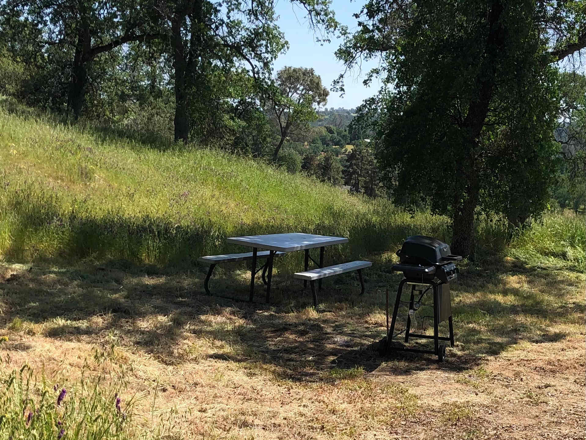 Ace's Yosemite Hide Out
