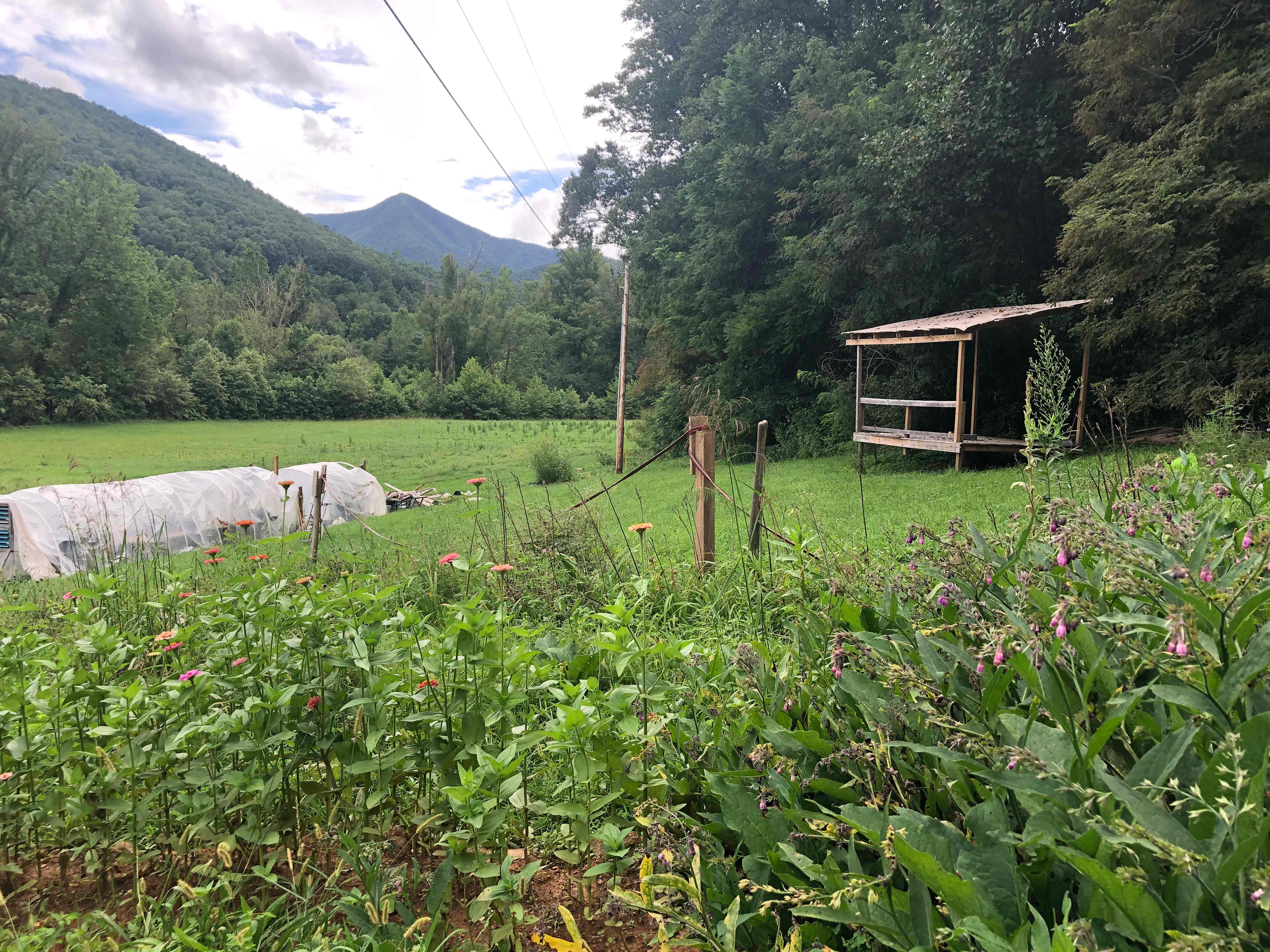 Green Heart Medicinal Herb Farm, Cr