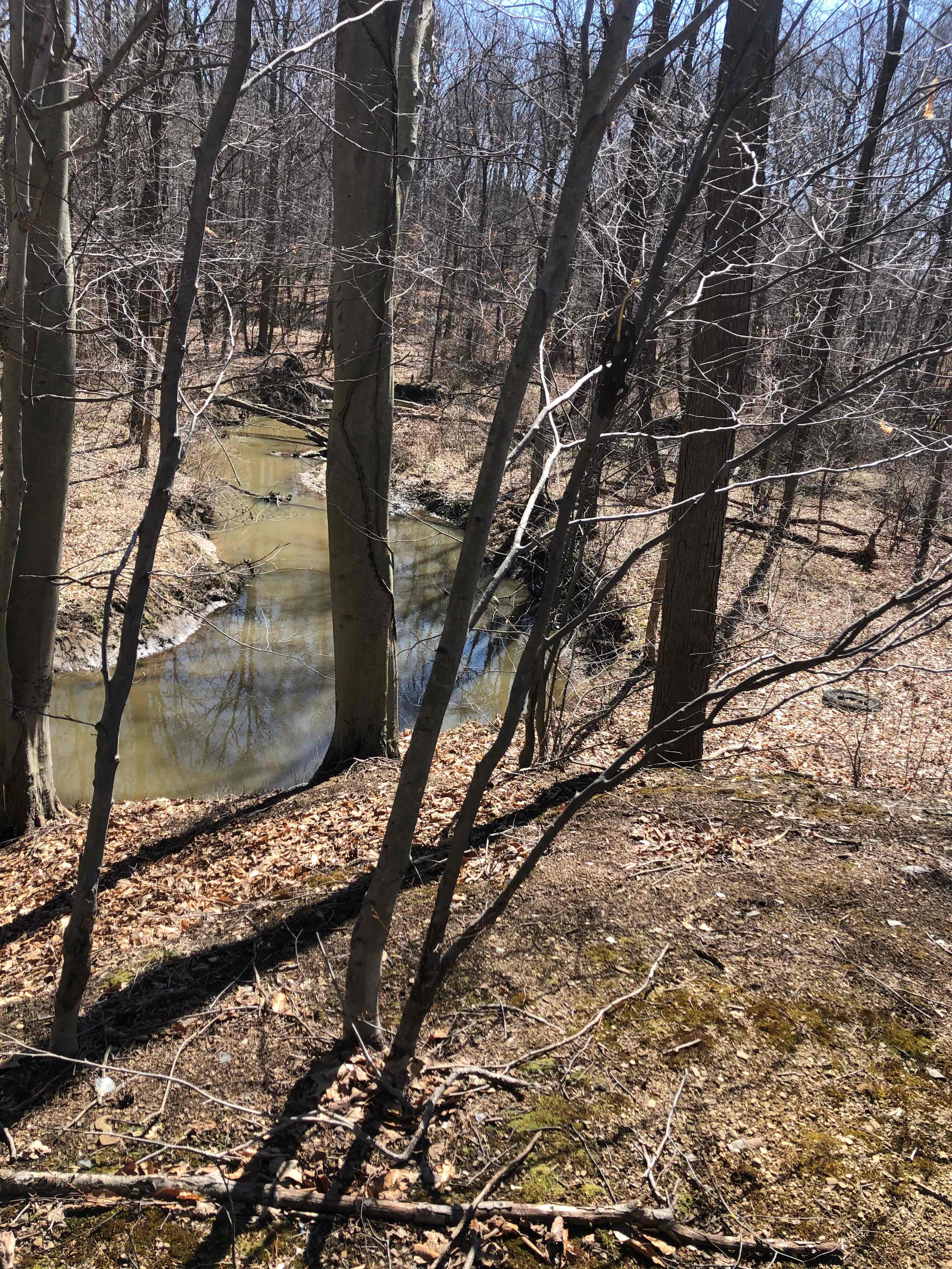 Barrel Run Creek
