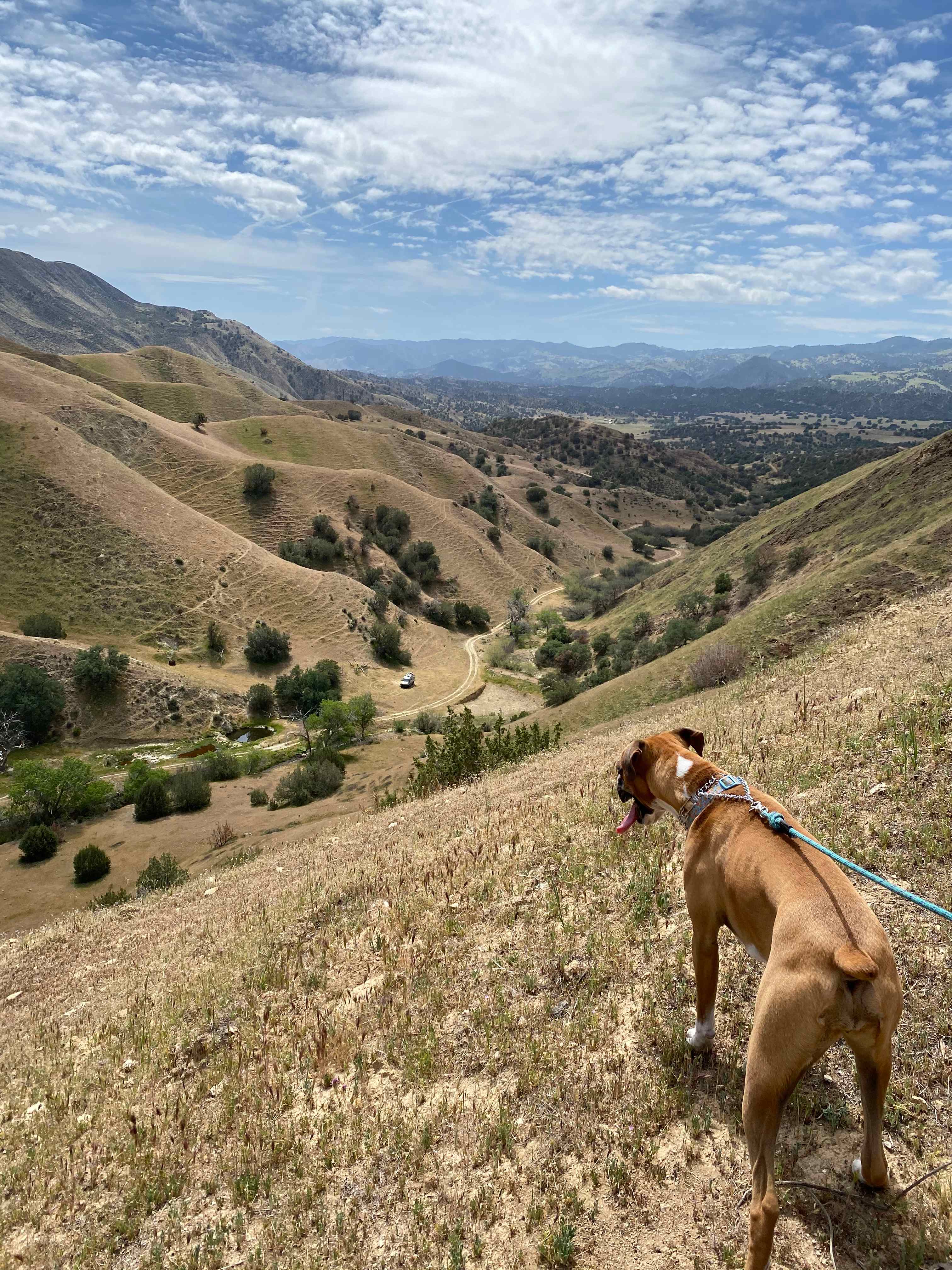 Beautiful views from the top!