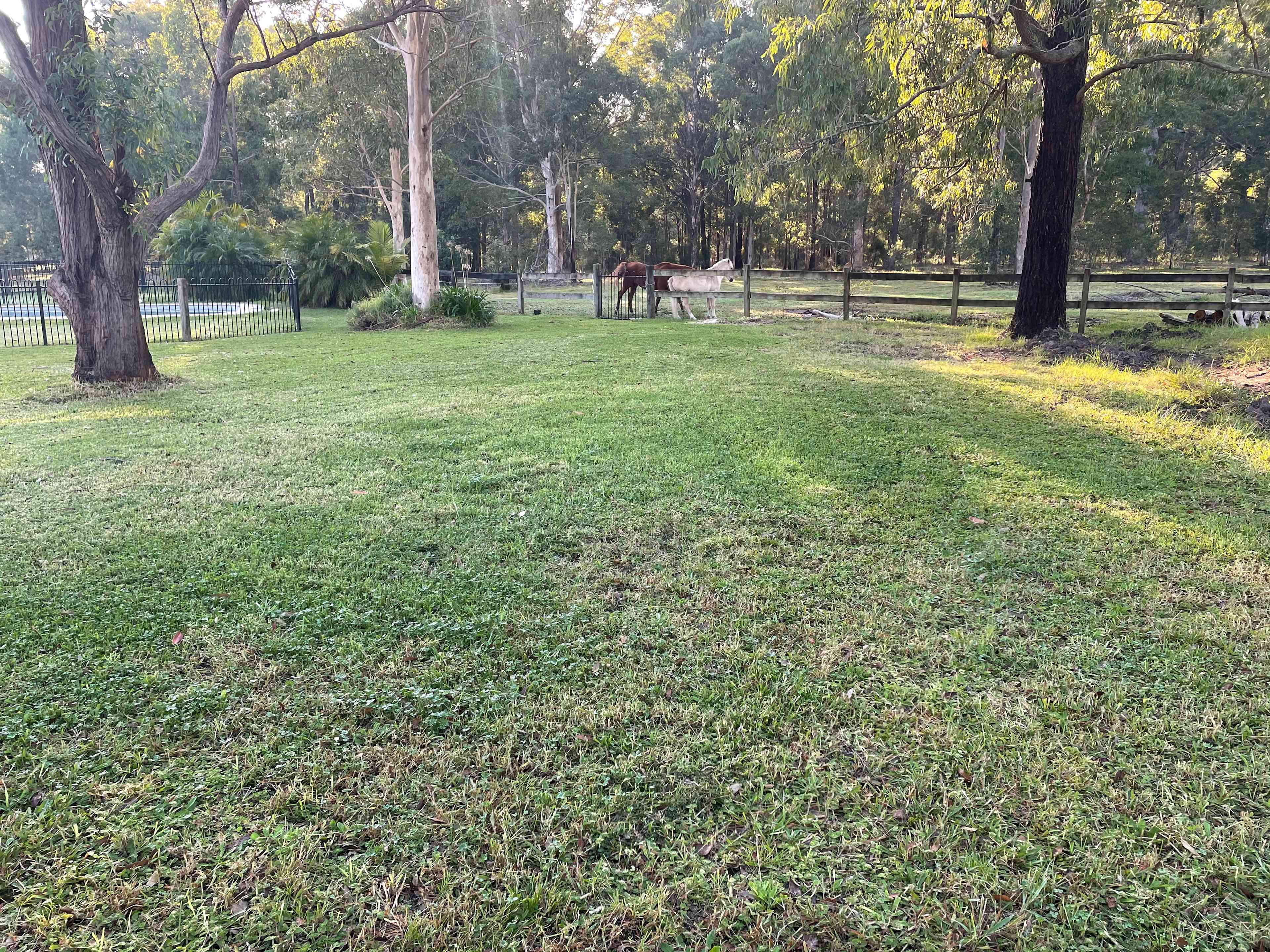 Peaceful Paddocks