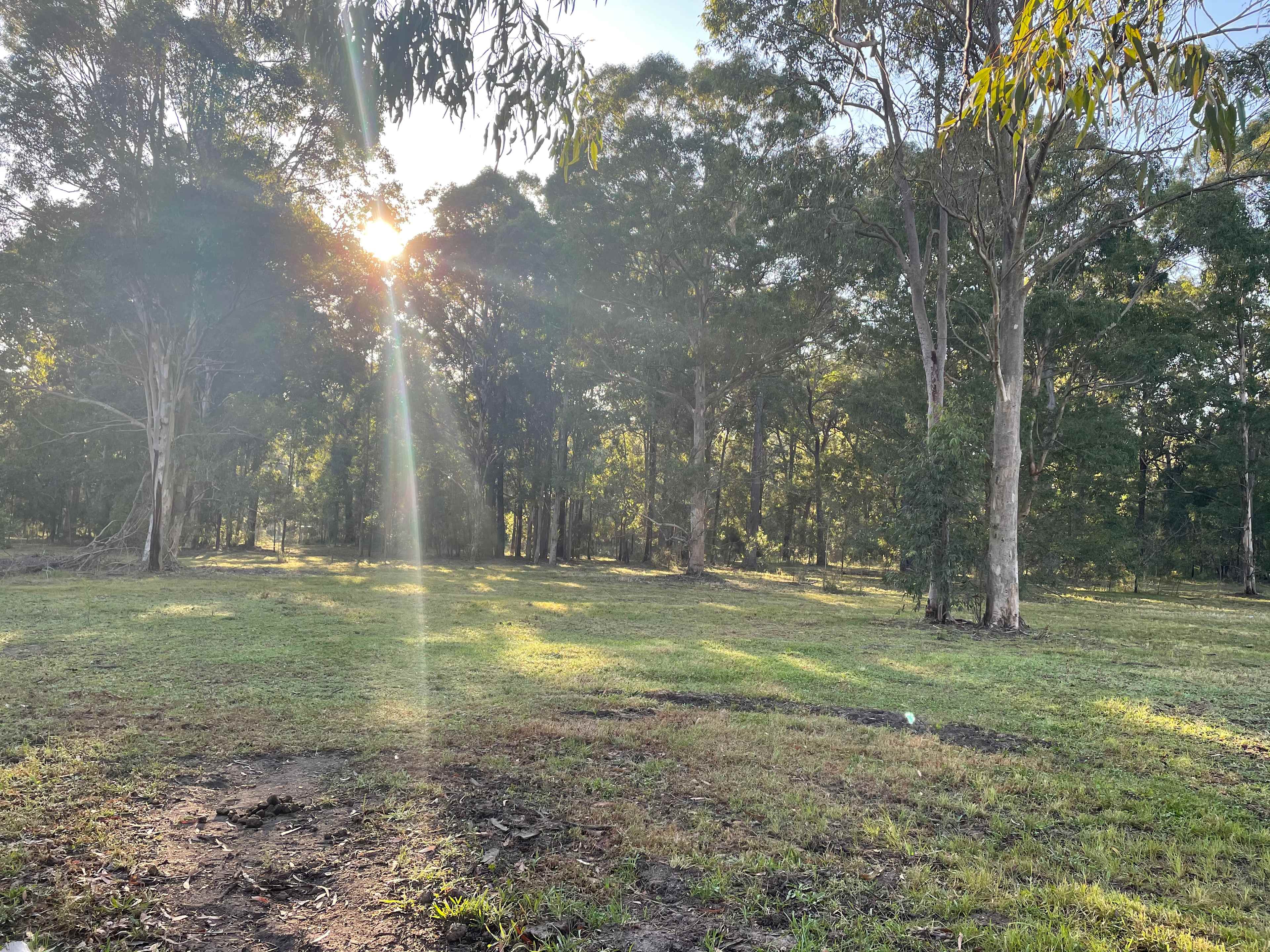Peaceful Paddocks