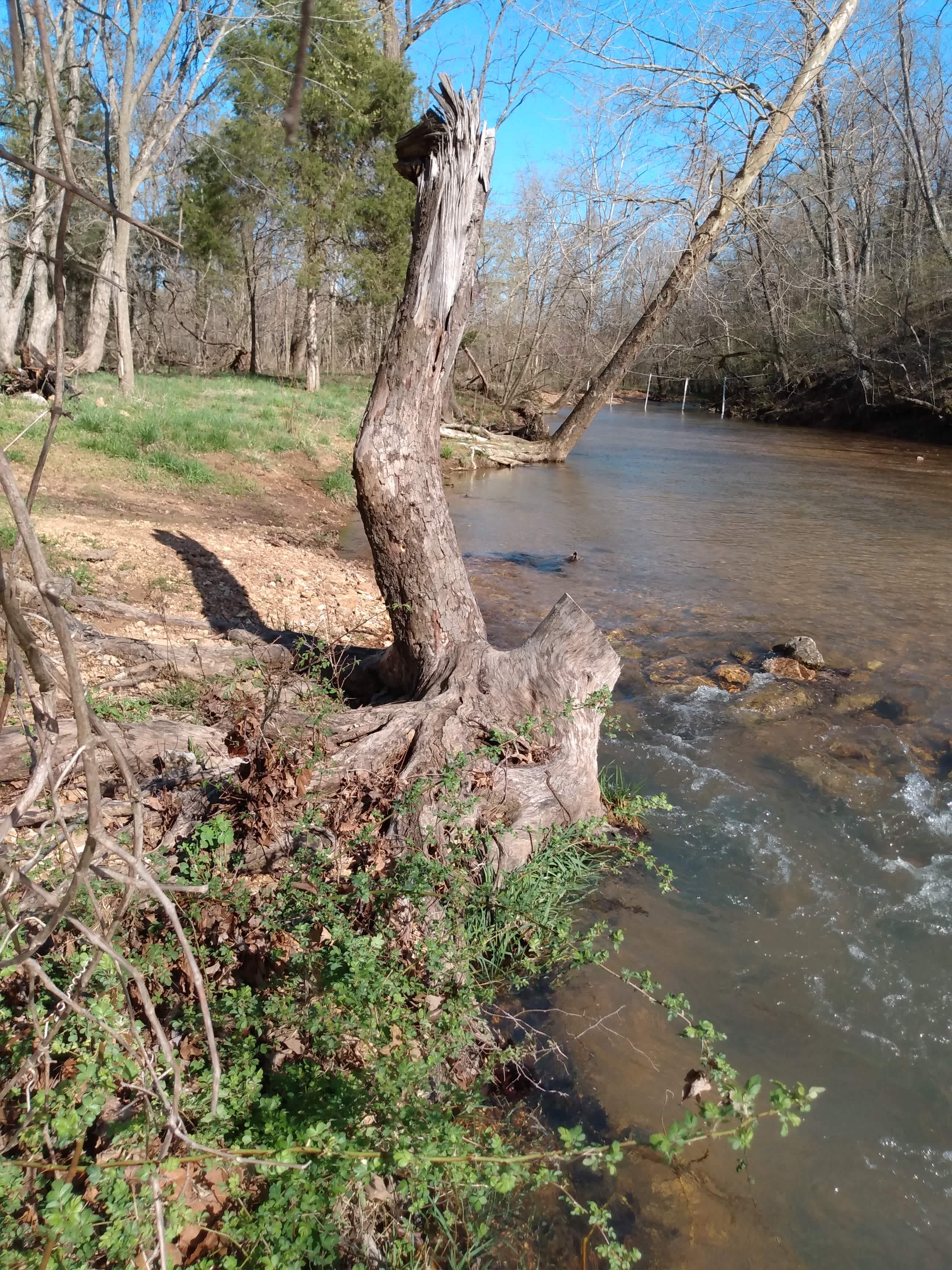 Crooked Creek Campground