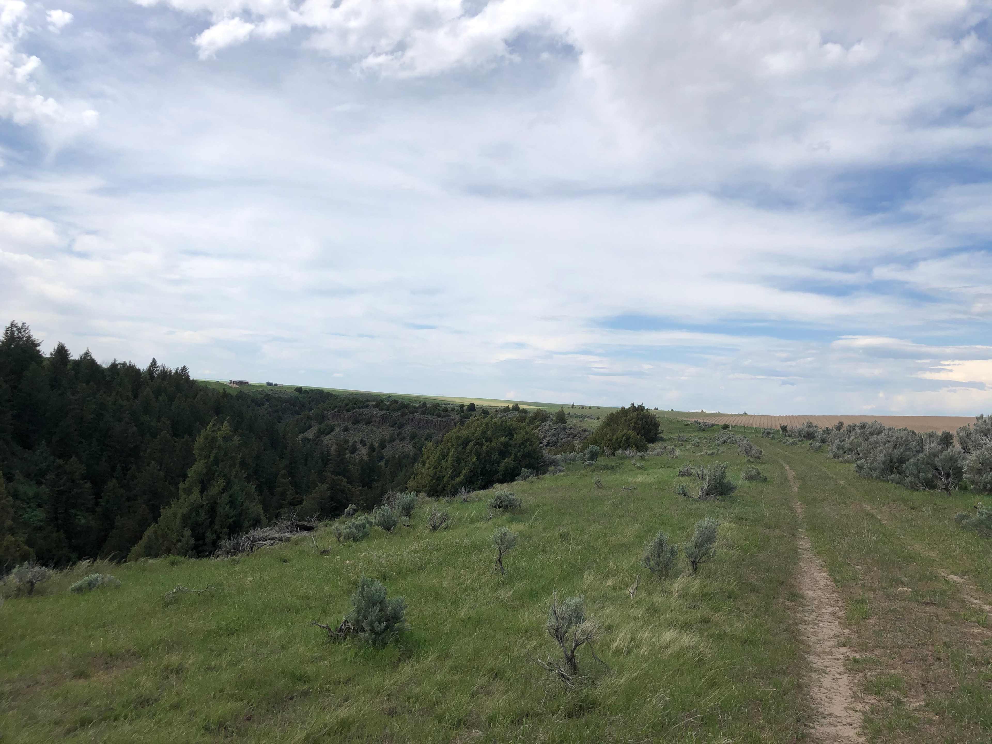Sleepy Hammock Canyon Land