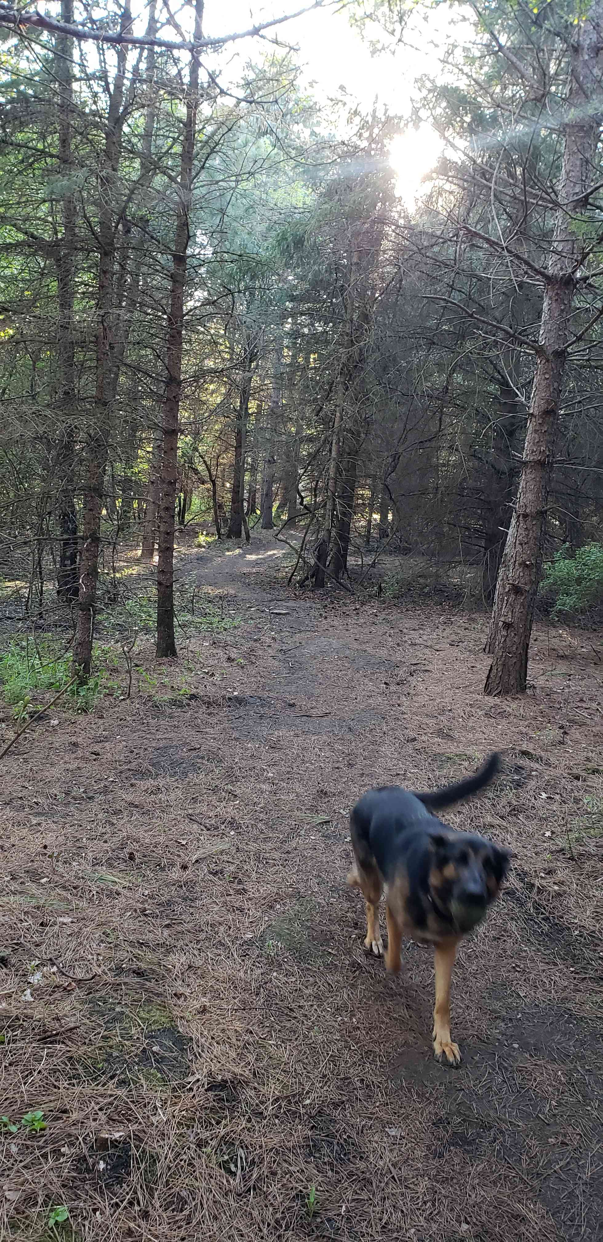 Prairie Creek Campground