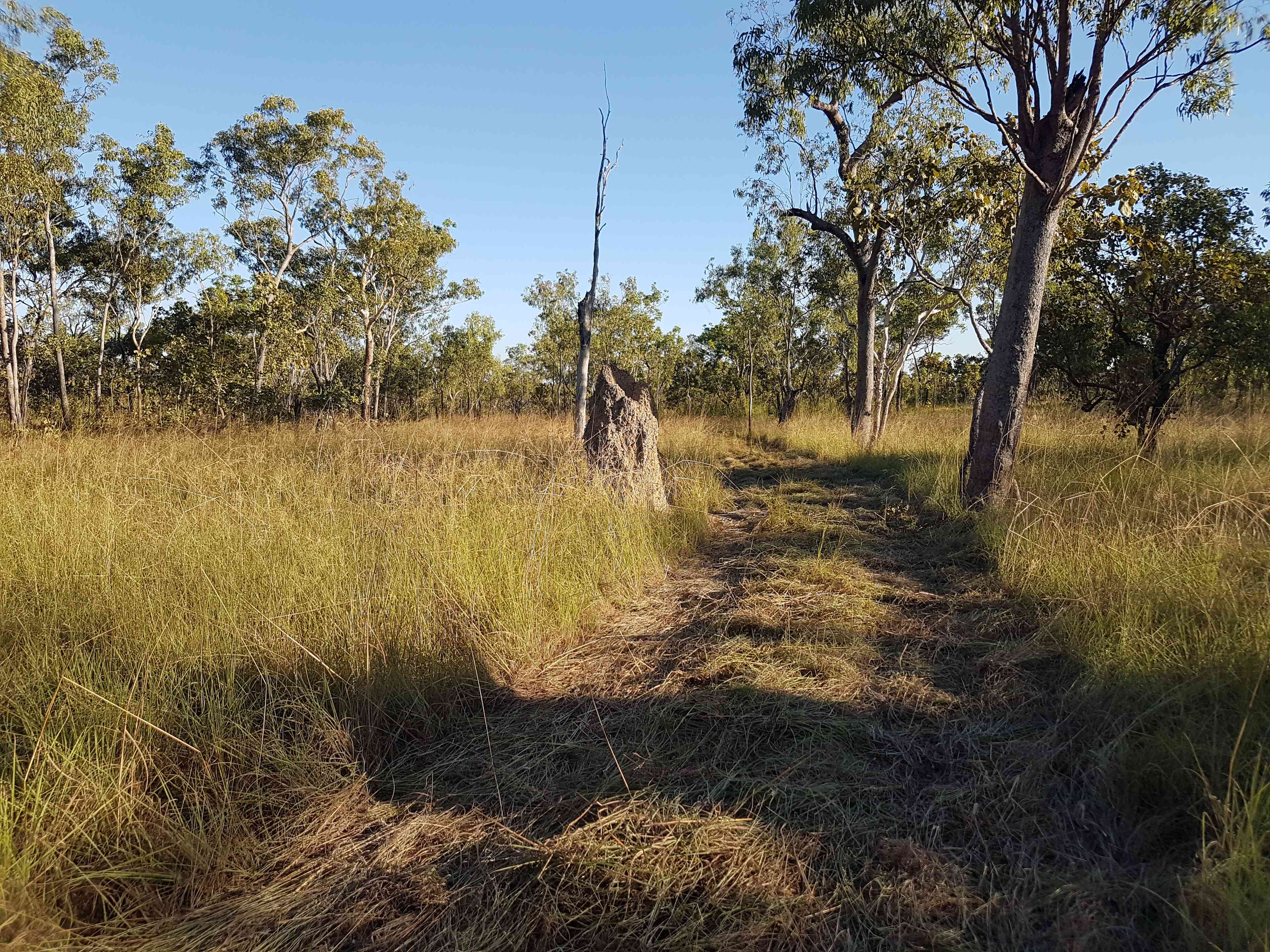 Natural NT Bush Camp