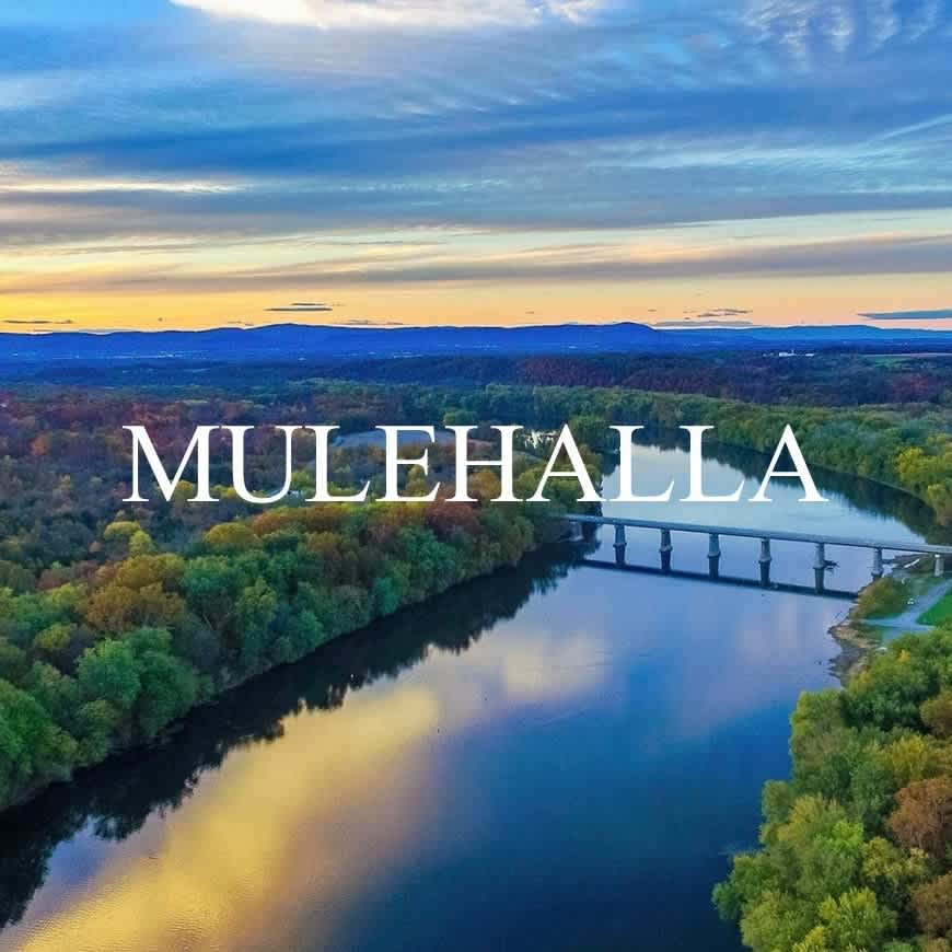Mulehalla