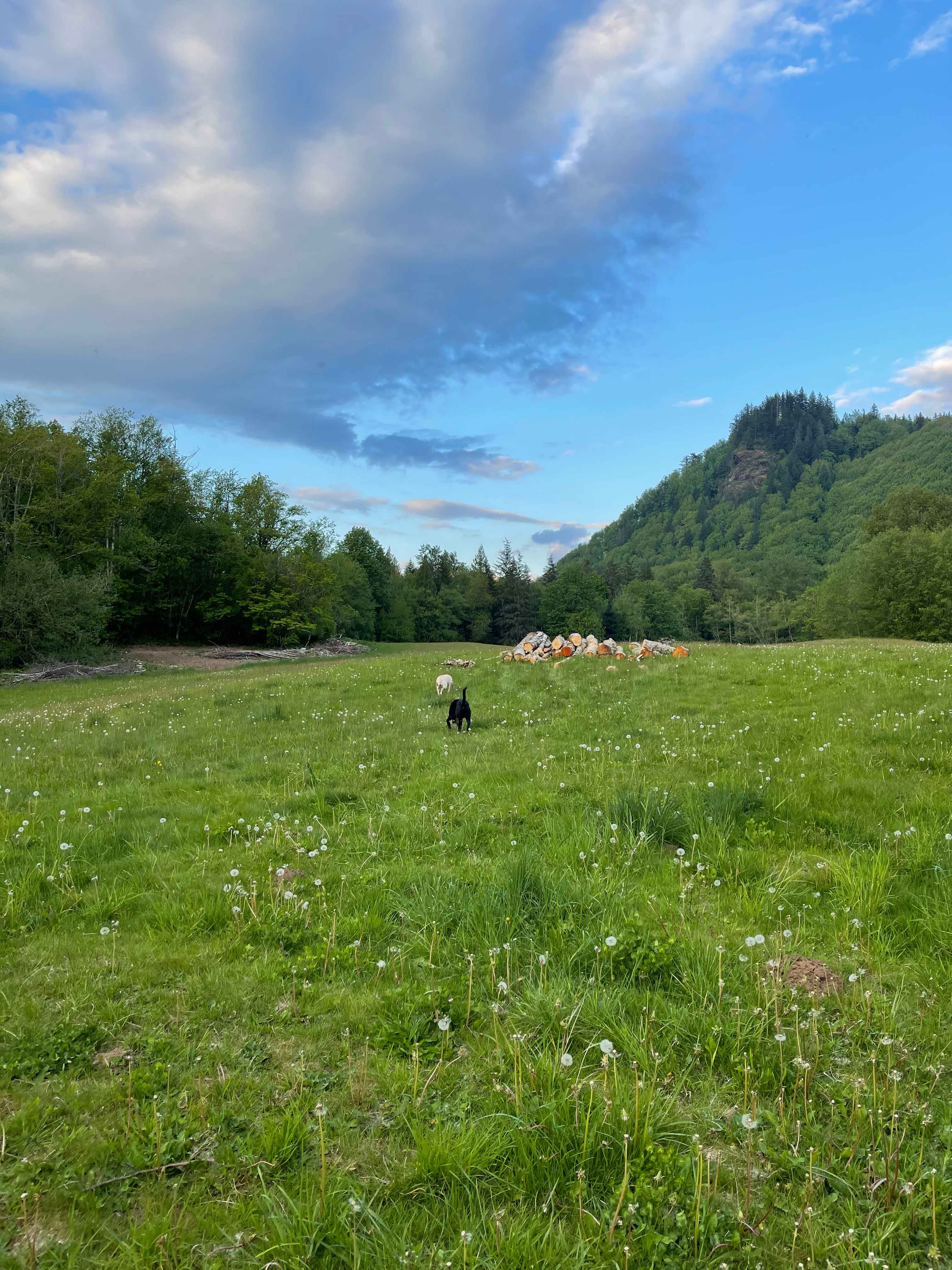 Evergrin Shire