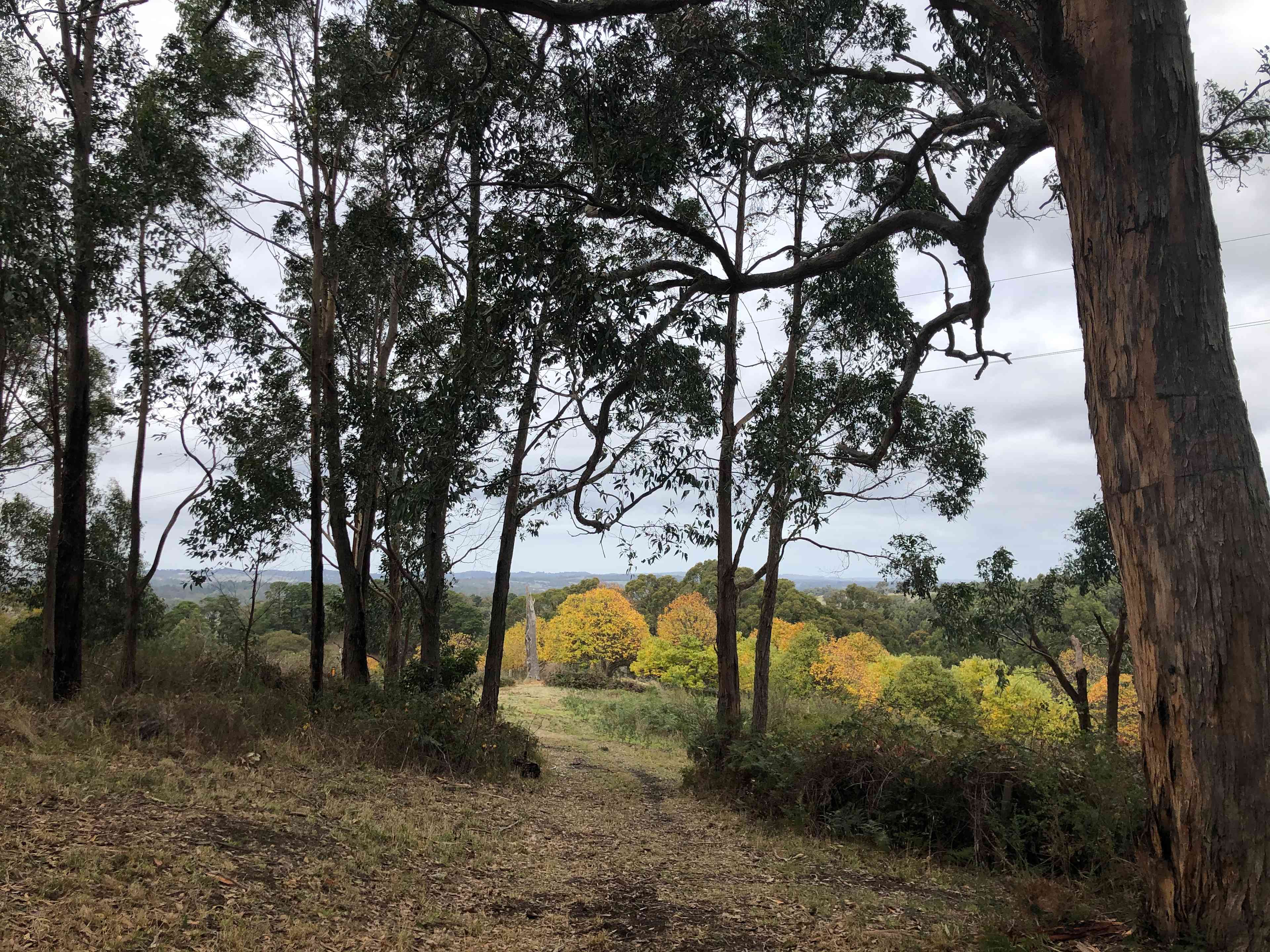 Adelaide Hills Magical Retreat