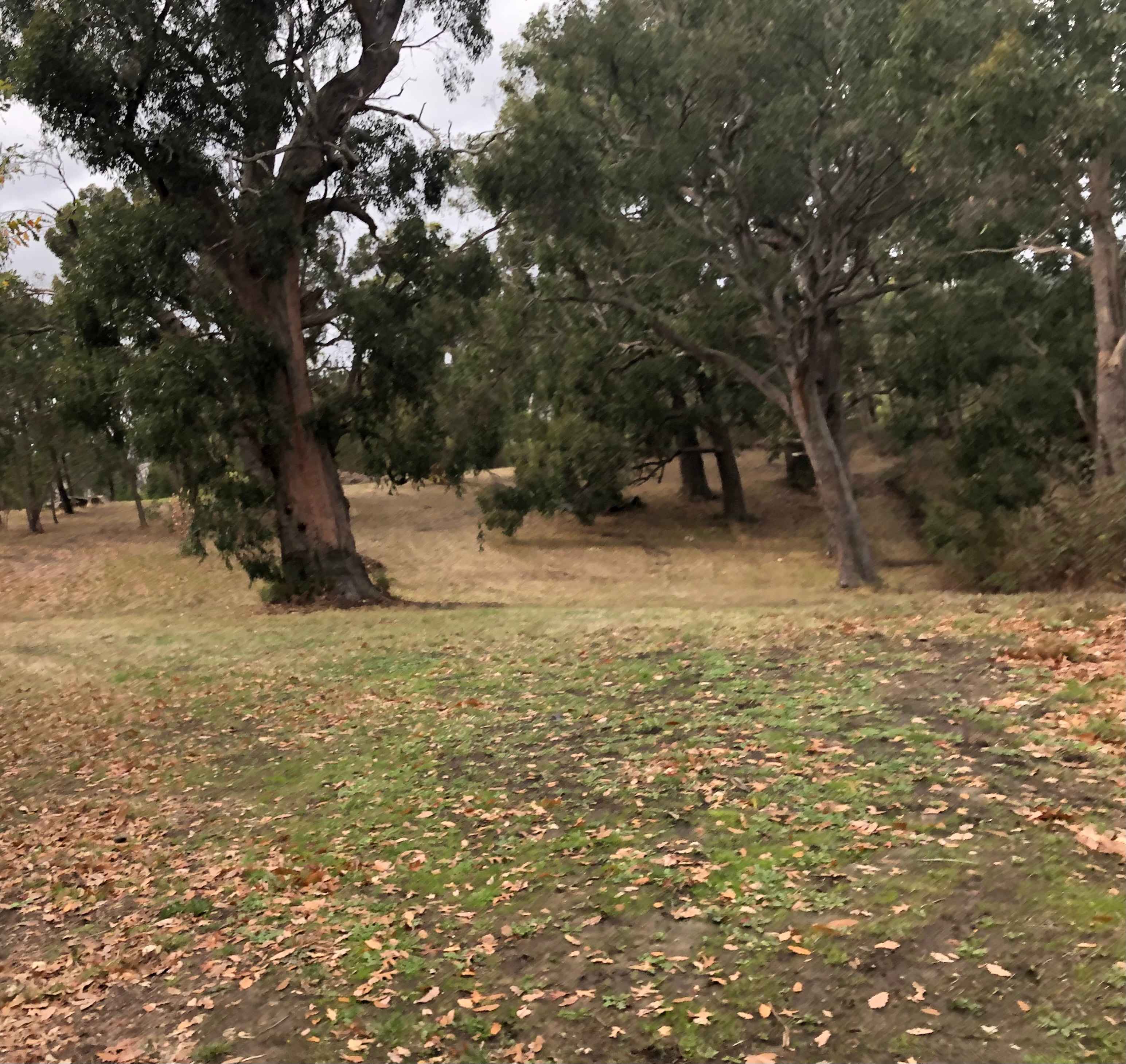 Adelaide Hills Magical Retreat
