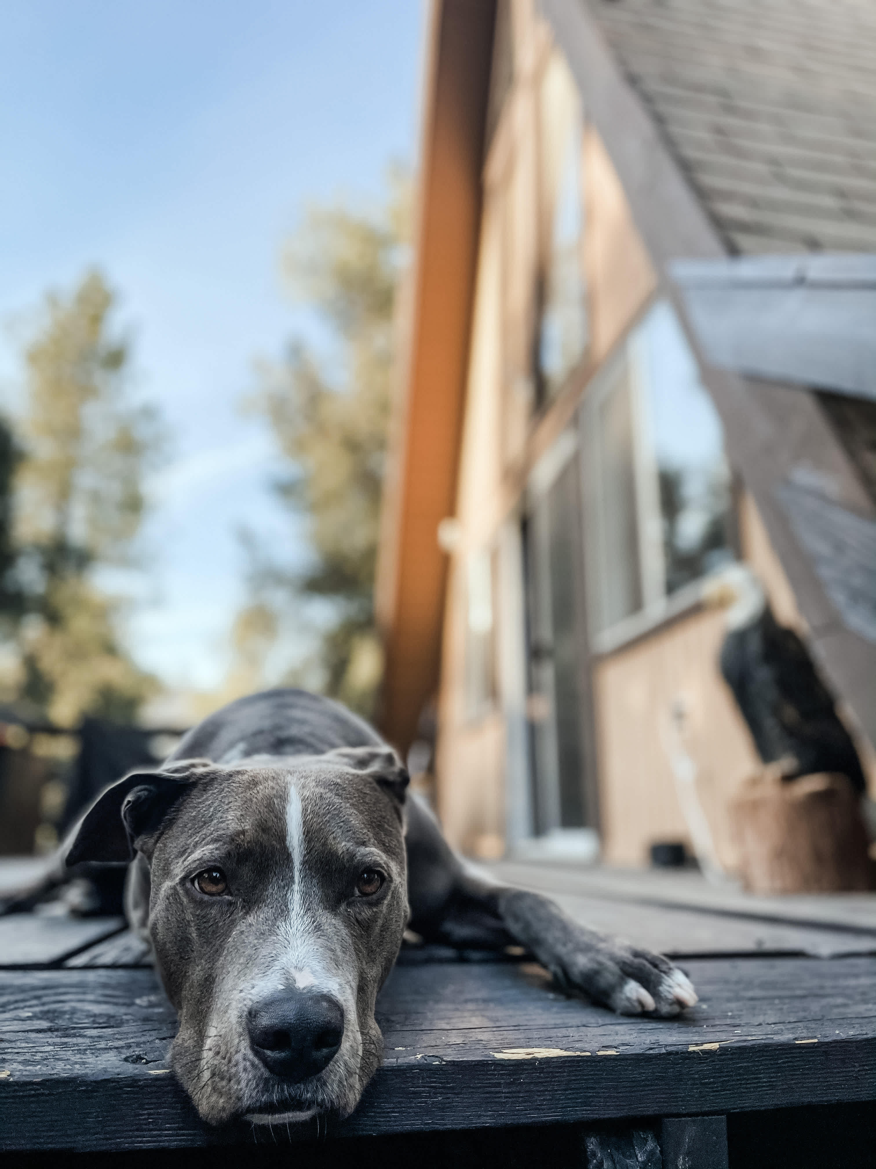 A-Frame Bliss