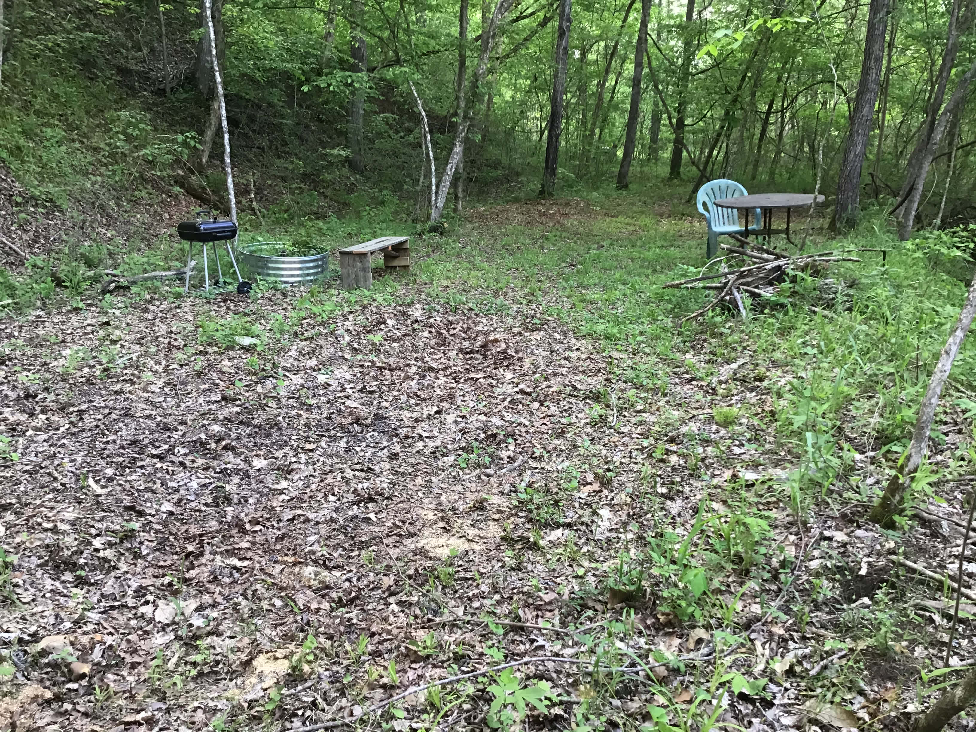 Campsite 1 runs along Little Brushy Creek. It offers a table, bench, fire pit as well as a BBQ pit. Two smaller campsite are off the trail leading to this place. All are part of number 1