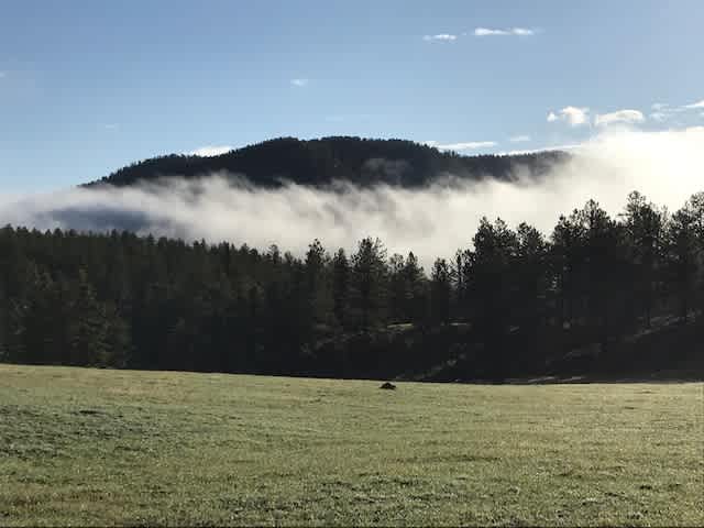 View to the north east from the Backwoods site.