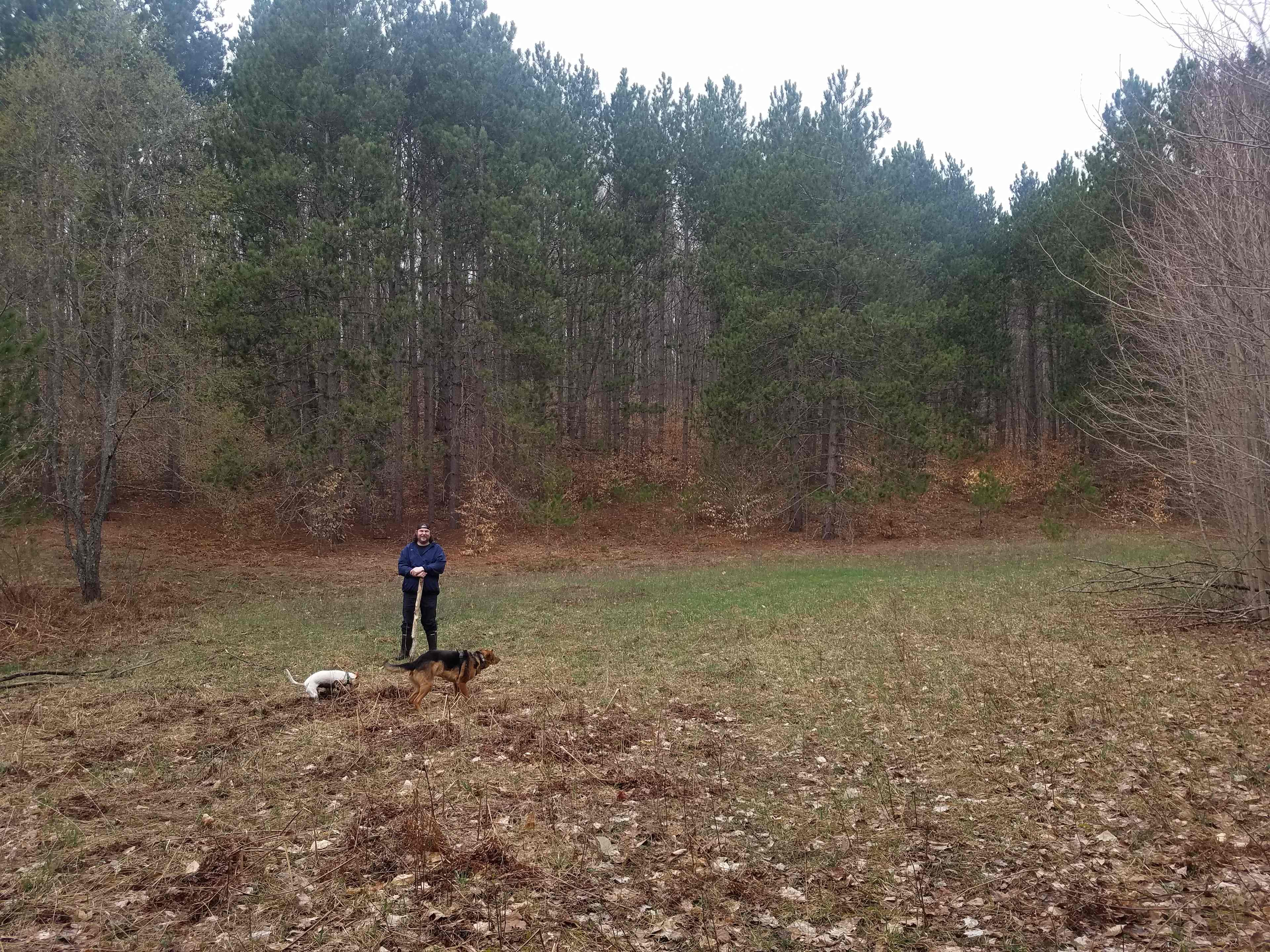 Second meadow for camping, must hike in and cross creek to access this spot.