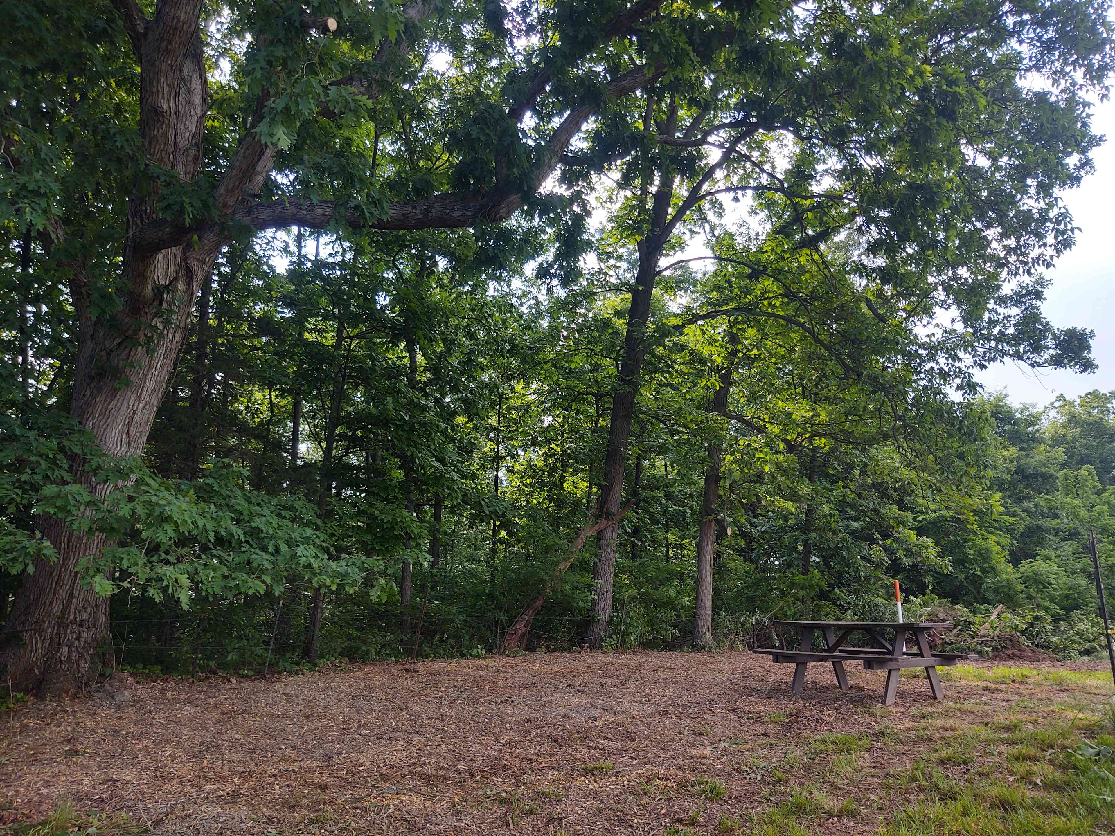 Site 2
