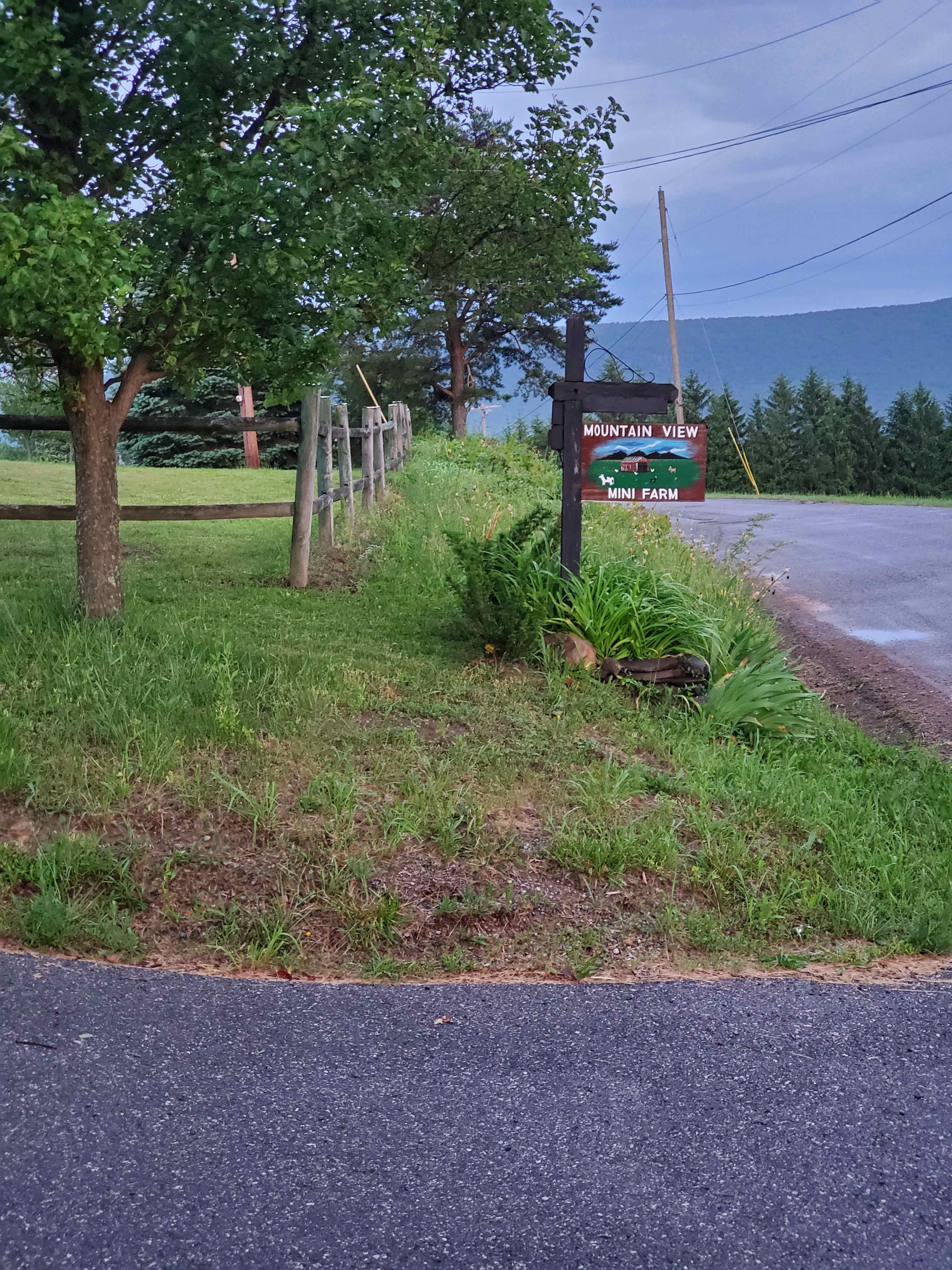 Entrance to Mountain View Mini Farm.