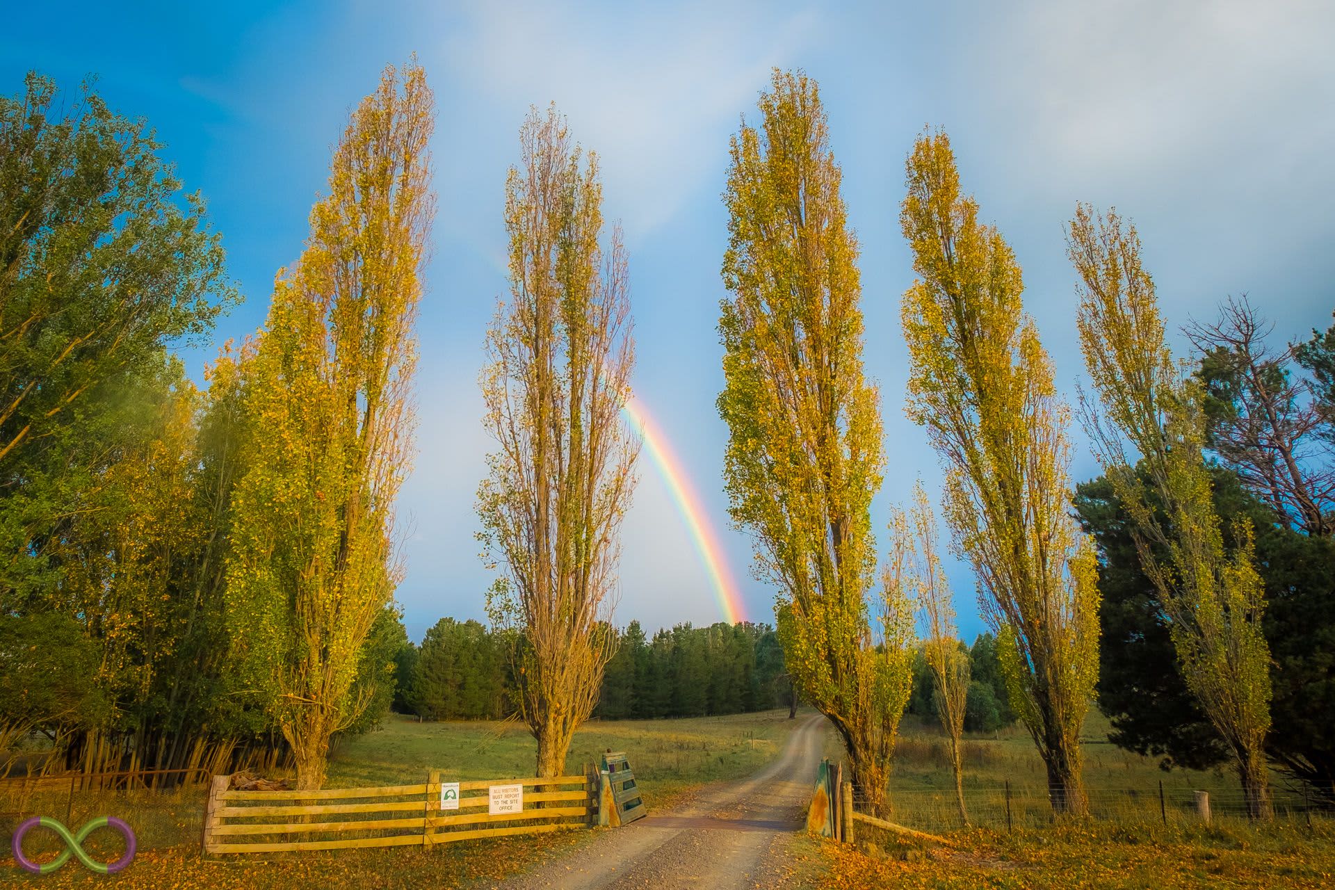 Taylors Run Farm Camping