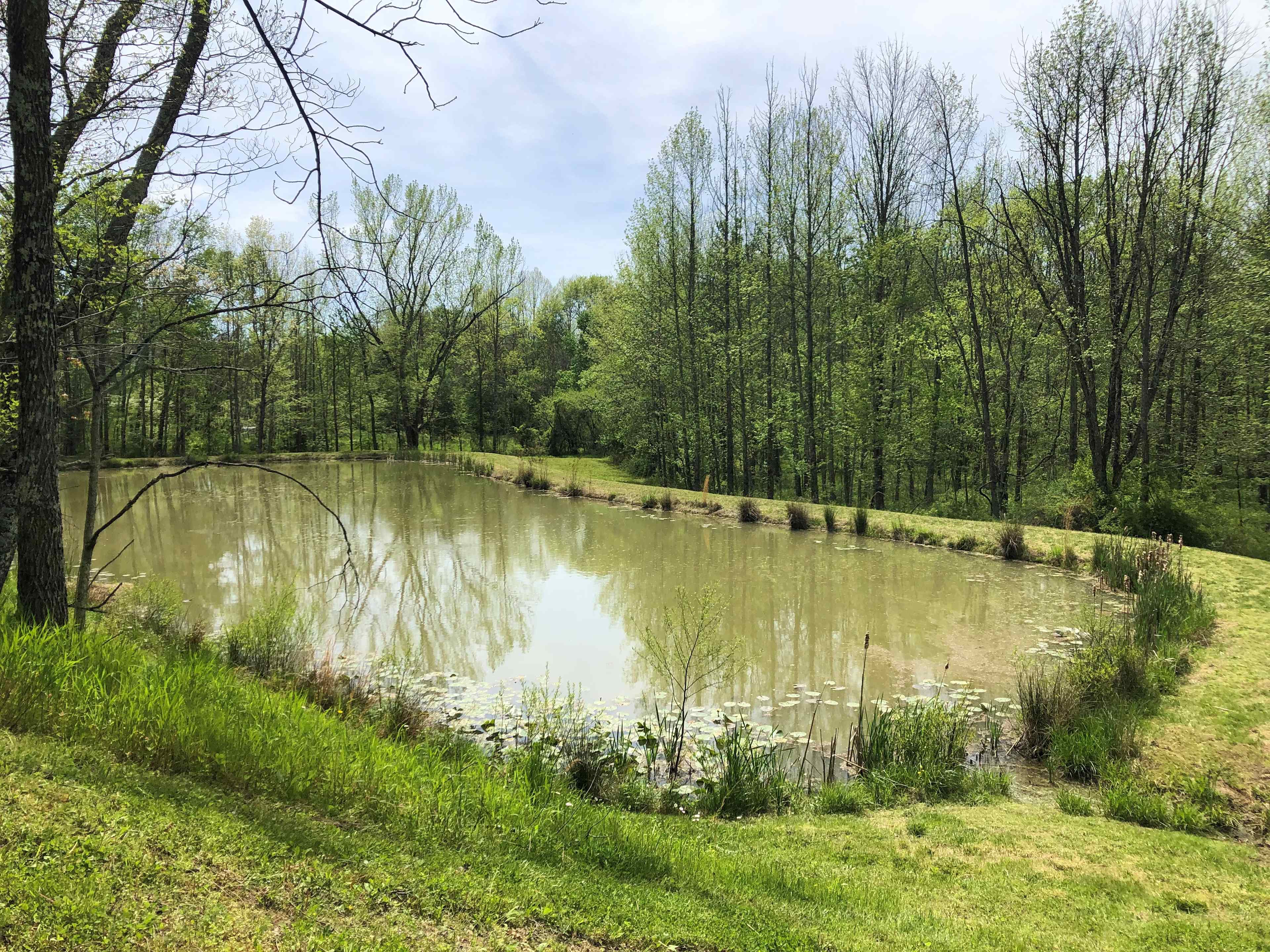 Variety- pond, field, shaded