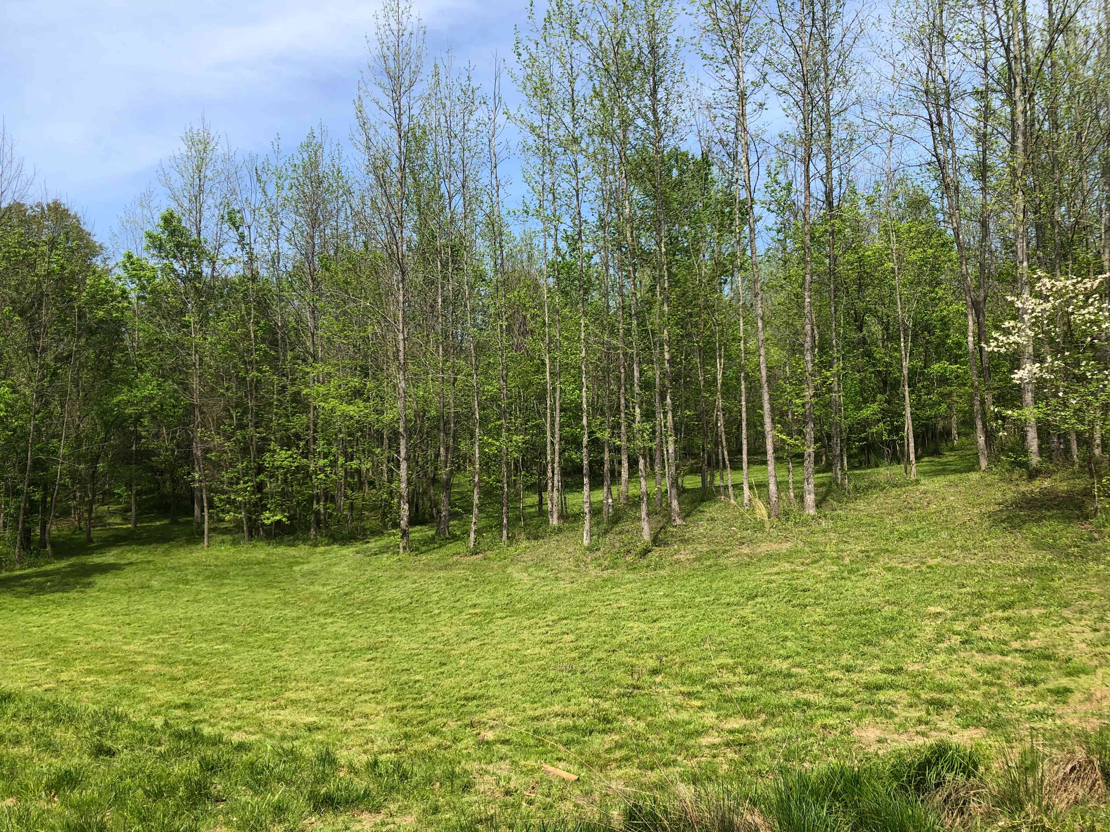 Variety- pond, field, shaded