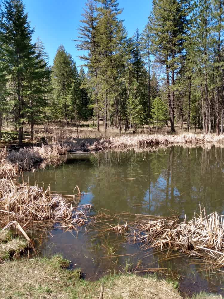 Parkside Mountain Ranch