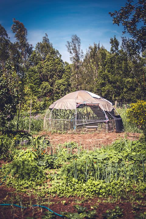 Purple Pear Farm Camping & RV's
