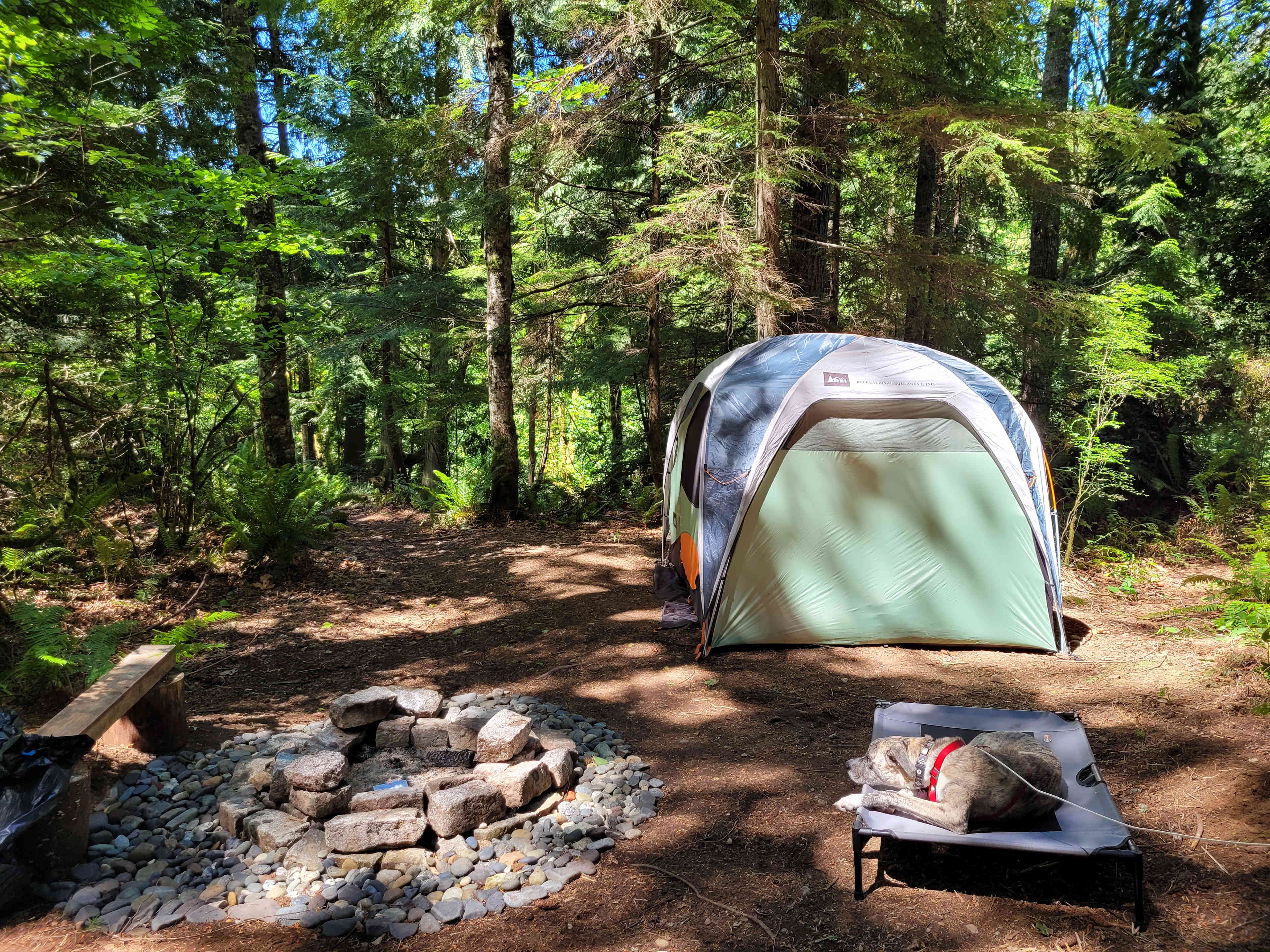 Curley Creek Canyon
