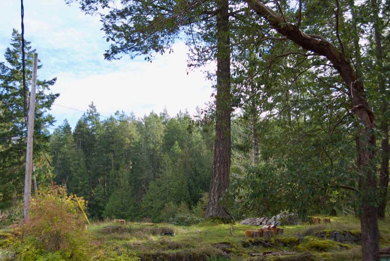 Camping spot.