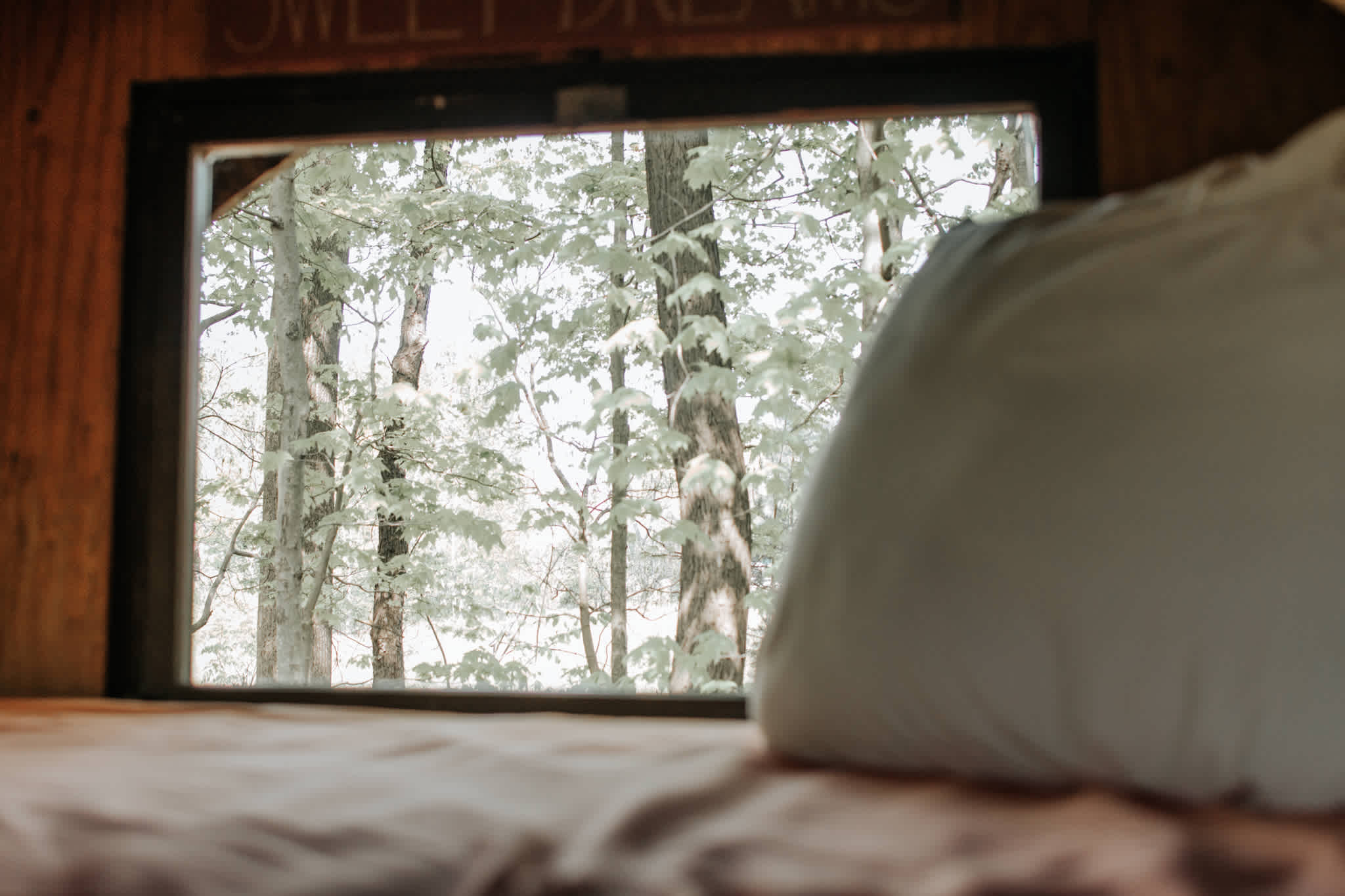 Hemlock Hideaway