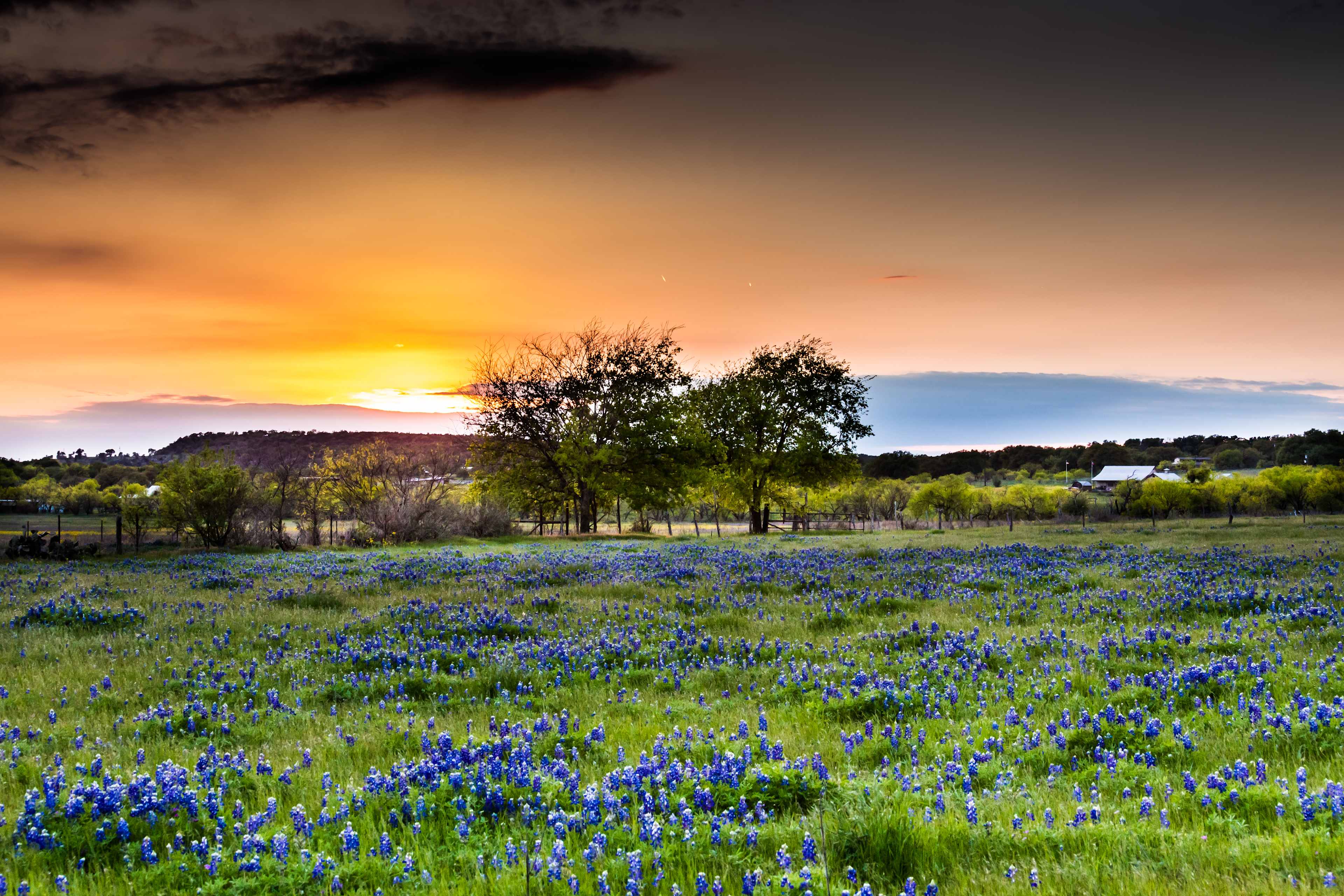 Vrooman Ranch