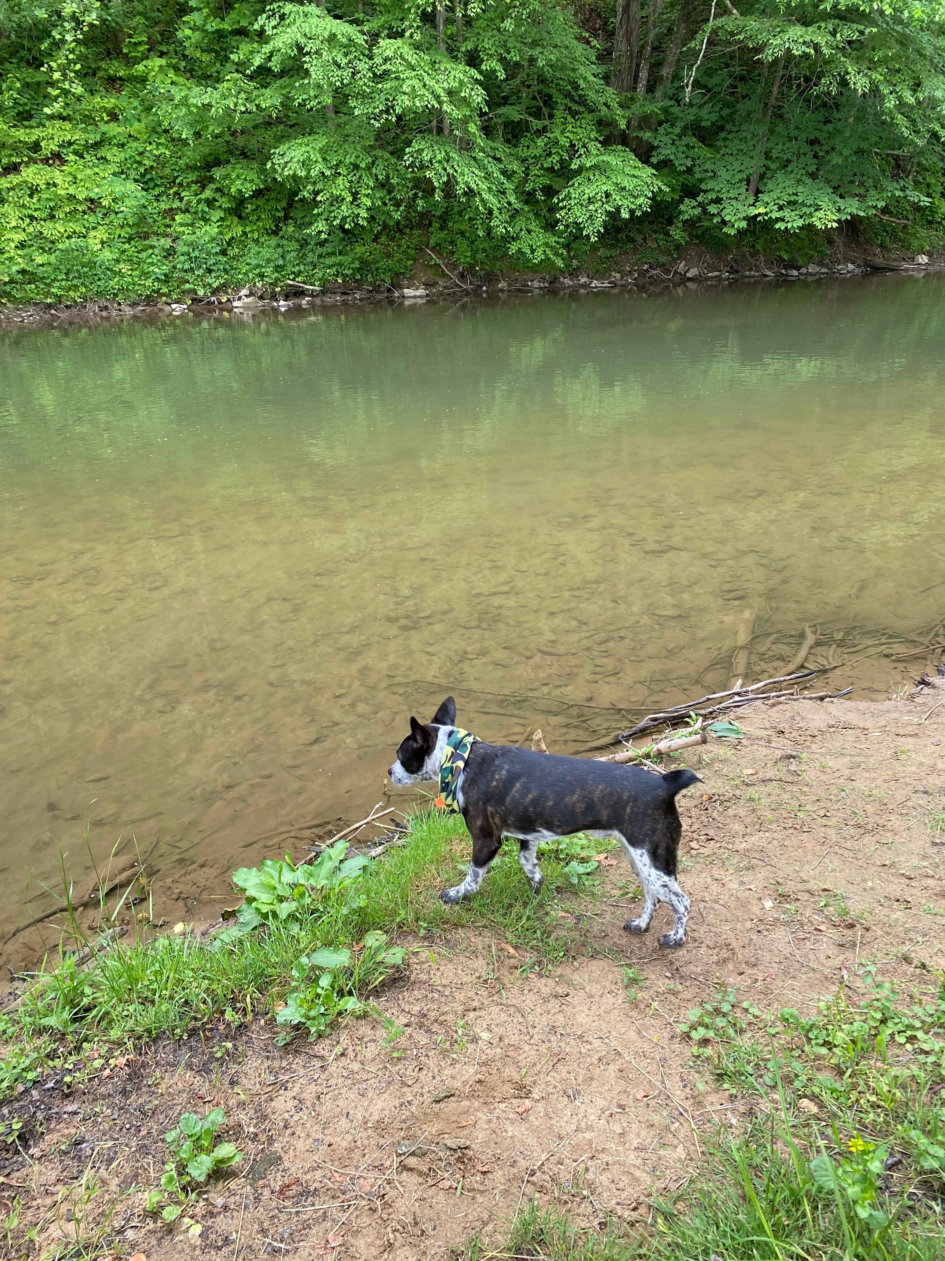 Beech Grove River Spot