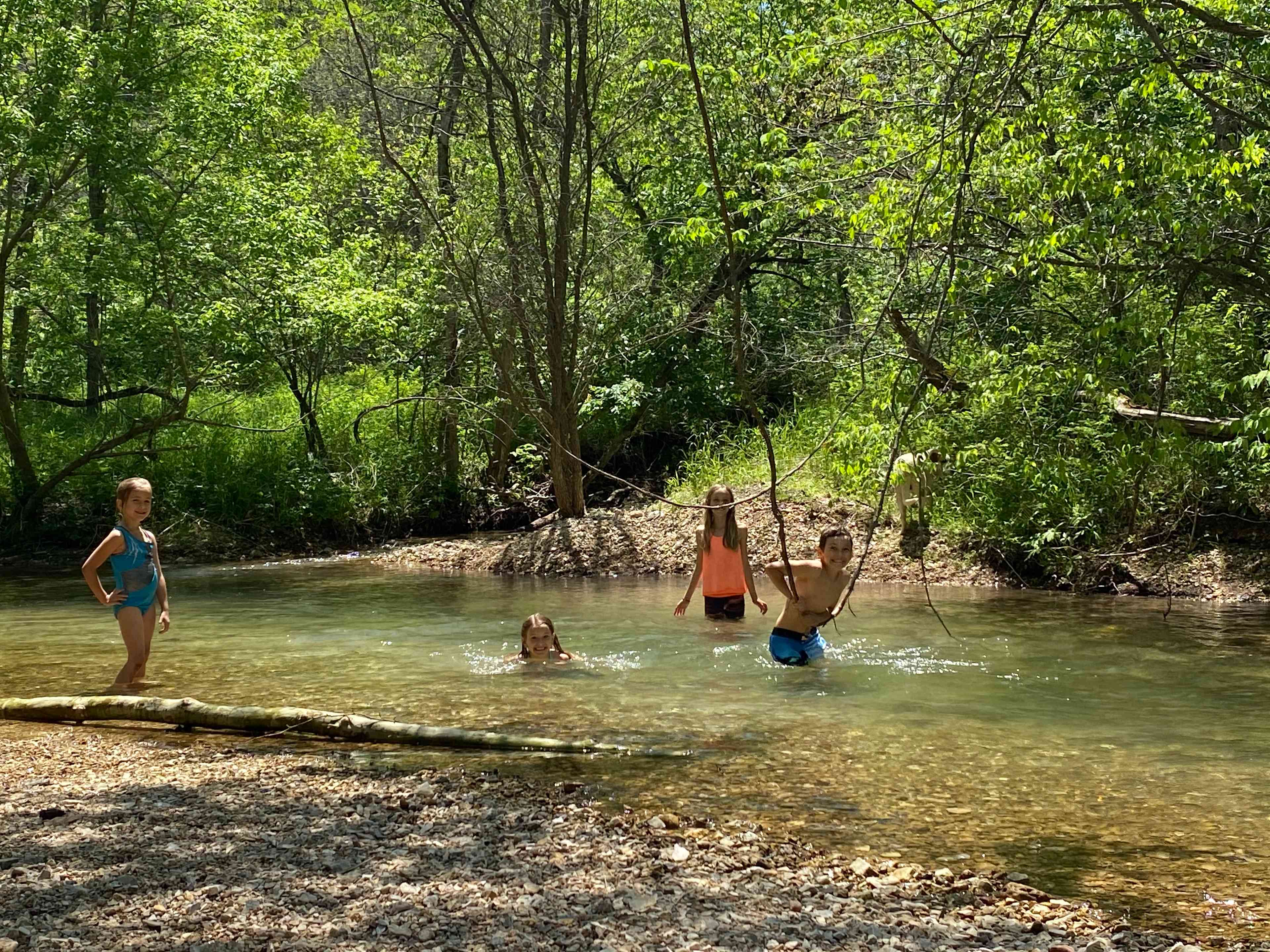 The best river, stream, or creek campgrounds near Eureka Springs