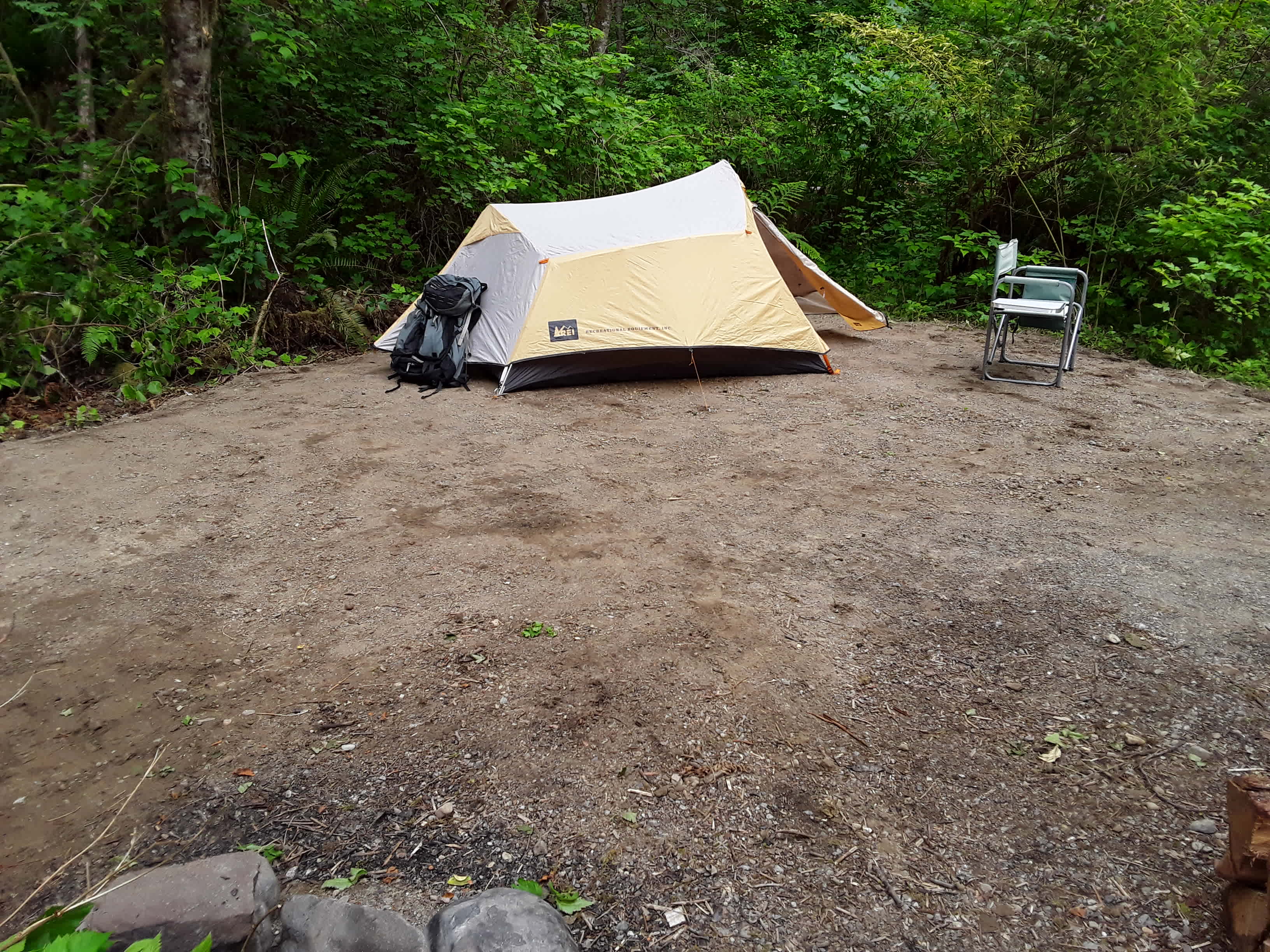 Camping in forest, next to a creek.
