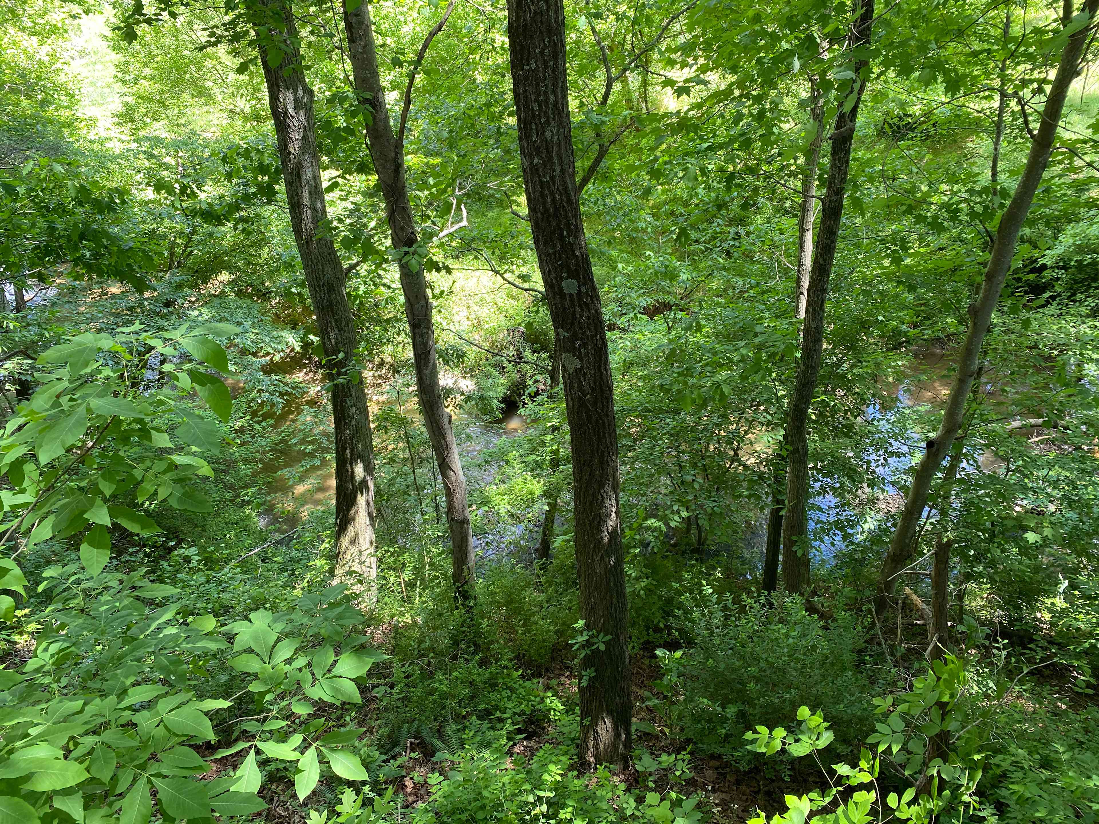 View from the deck