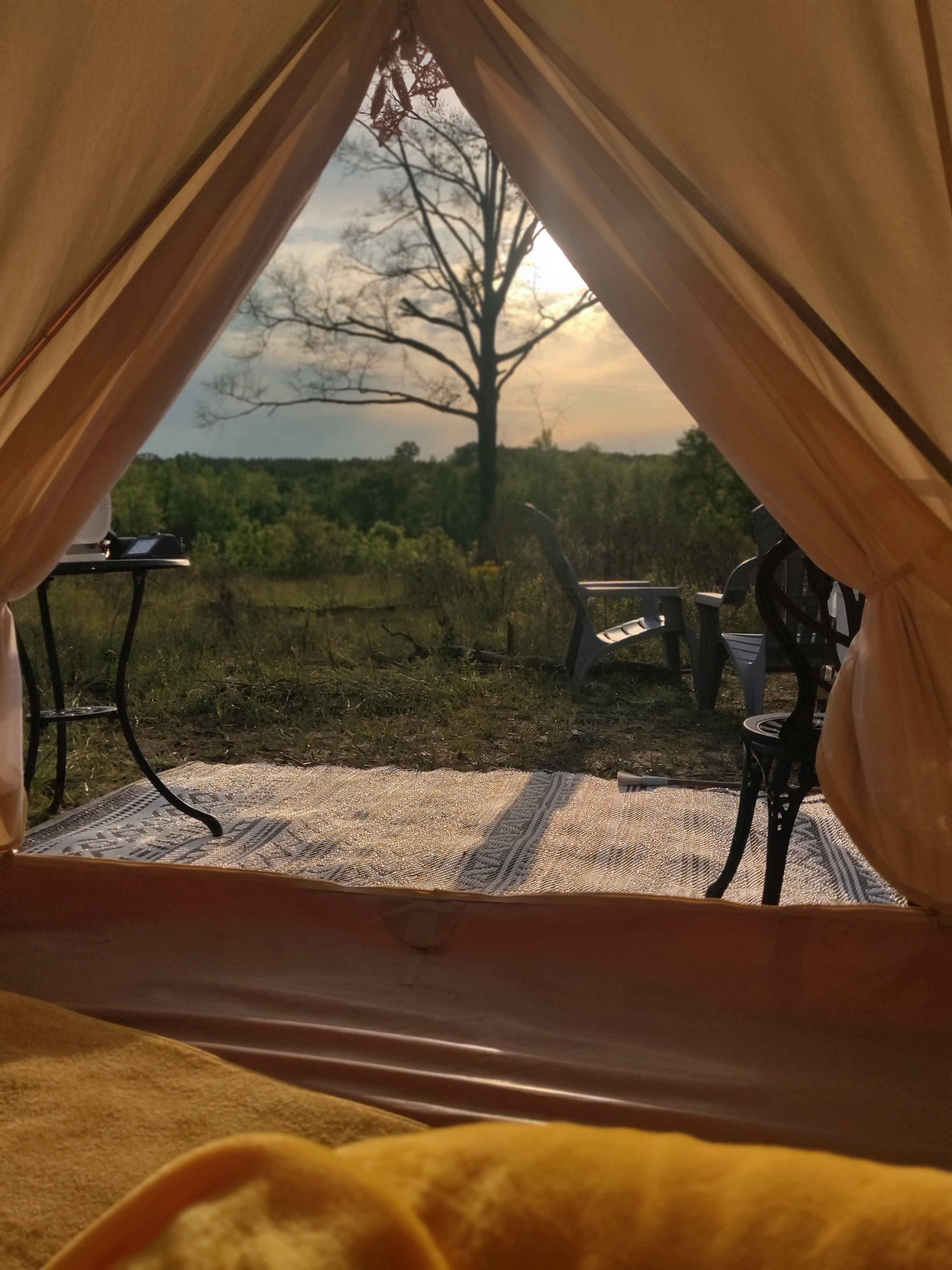 County Rd Camp & Glamp
