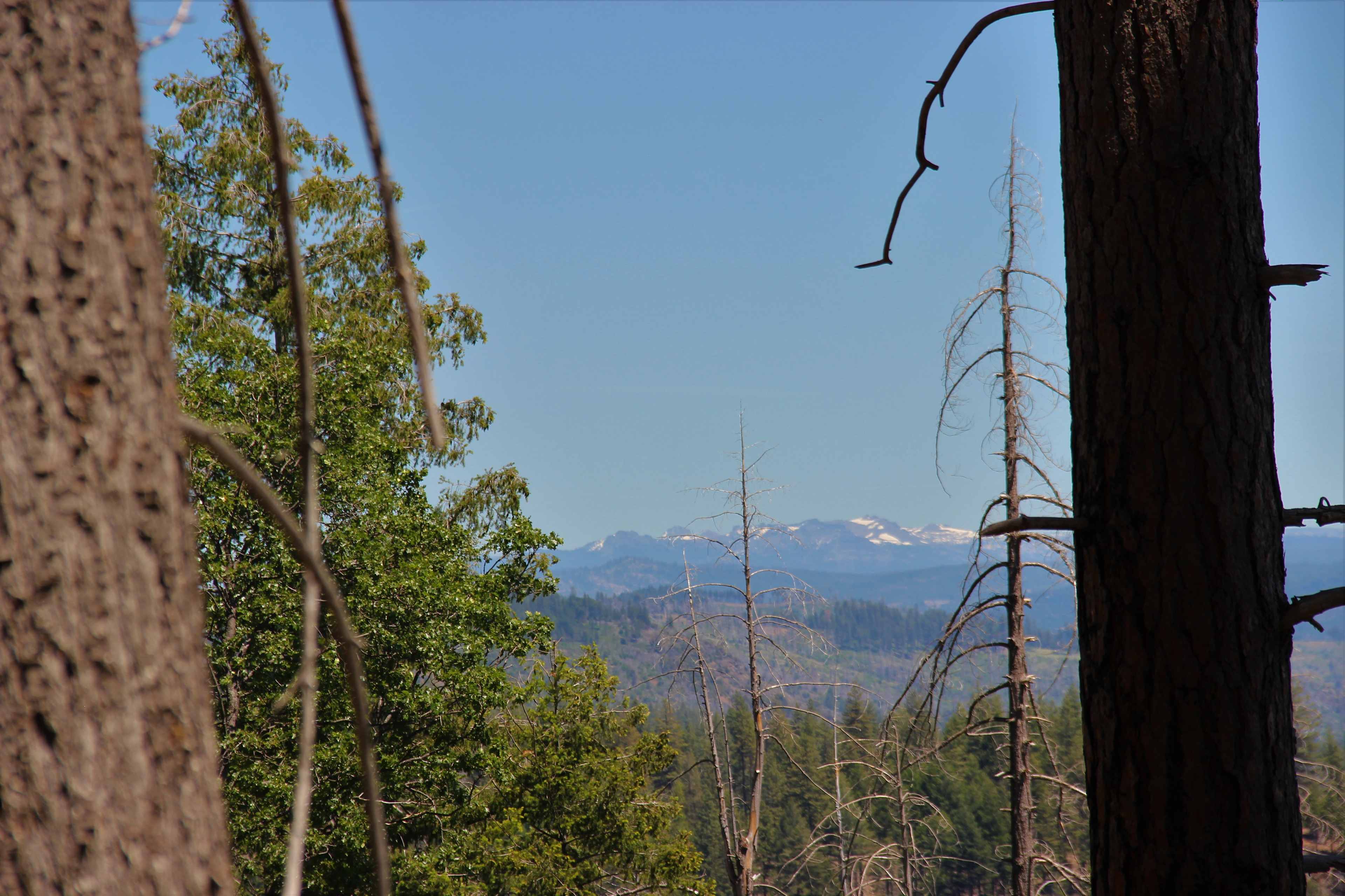 Sierra Mountain views from the property.