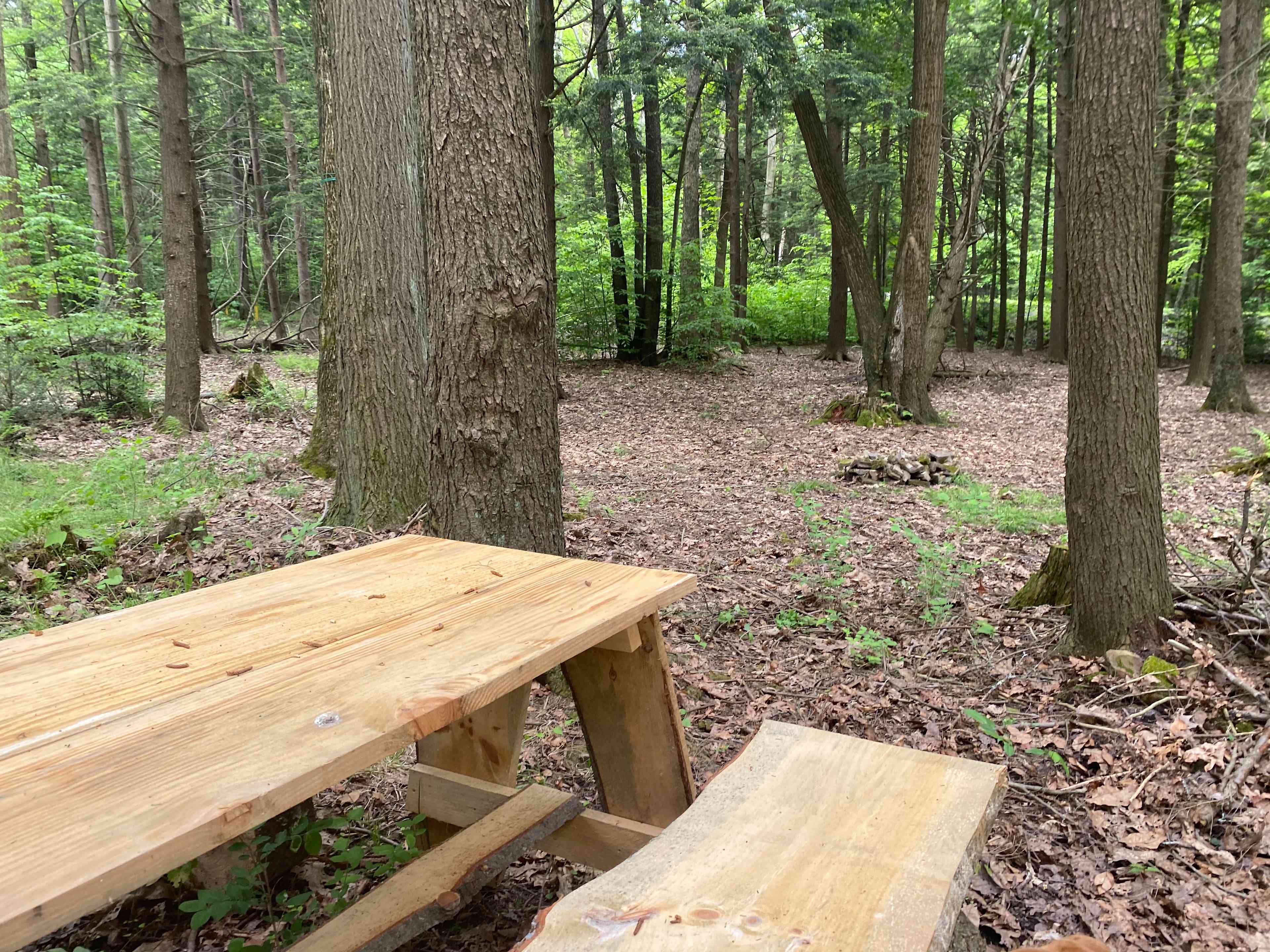 Sleepy Hollow Campground