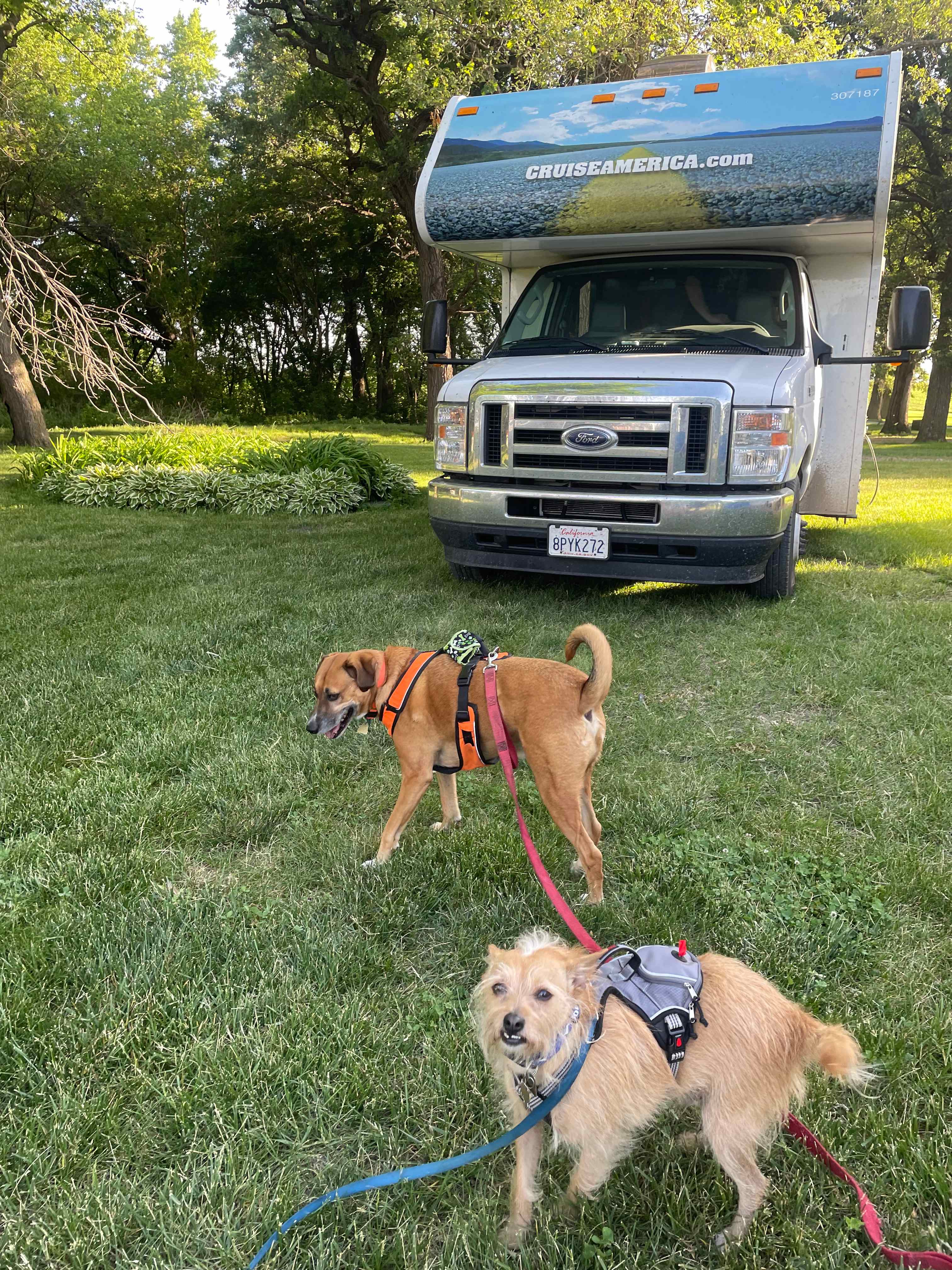 Happy Camping